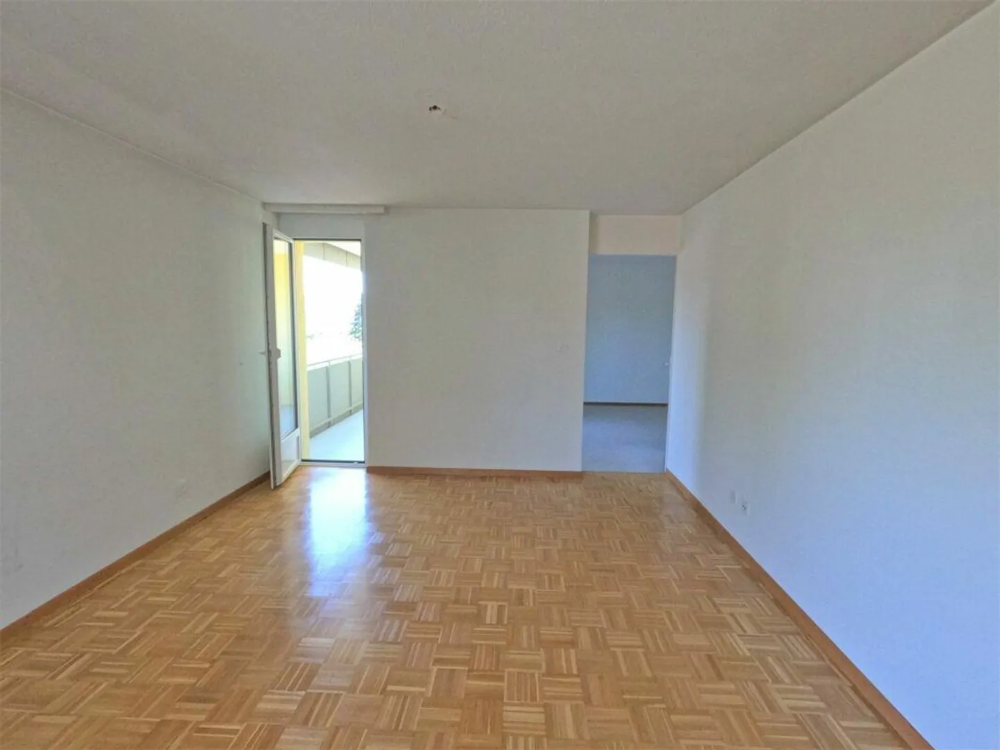 #amoureuxdeschaffhouse - appartement merveilleux avec nouvelle cuisine, nouvelle salle de bain et balcon ensoleillé - Photo 8 sur 12