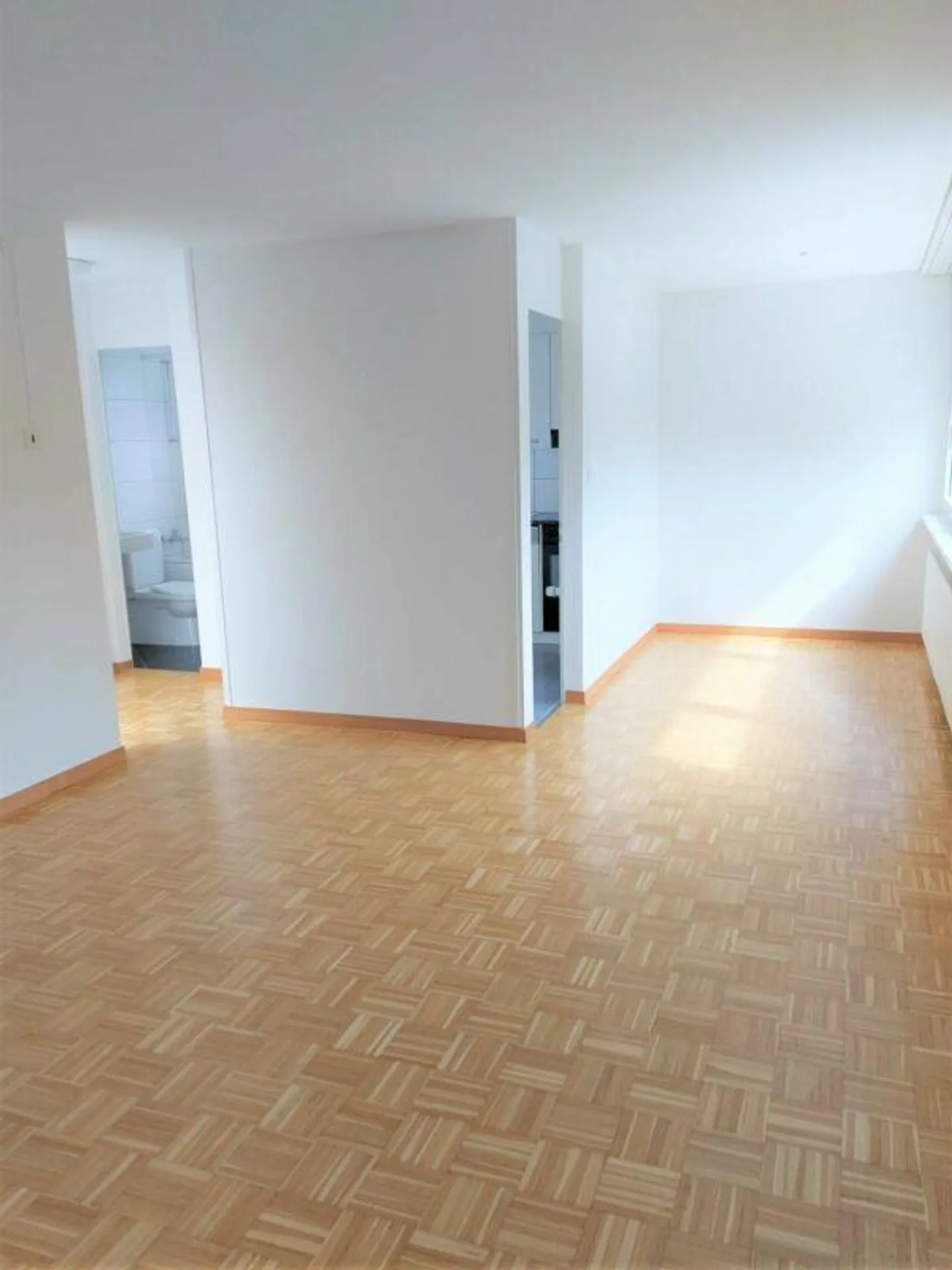 #amoureuxdeschaffhouse - appartement merveilleux avec nouvelle cuisine, nouvelle salle de bain et balcon ensoleillé - Photo 7 sur 12