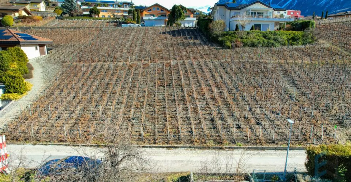 EXCLUSIVITY Splendid building plot of 804m² in Miège (Noble-Contrée) - Photo 2 of 7