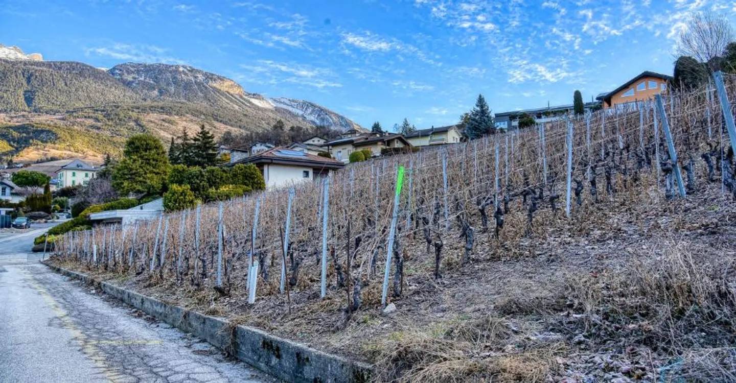 EXCLUSIVITY Splendid building plot of 804m² in Miège (Noble-Contrée) - Photo 7 of 7