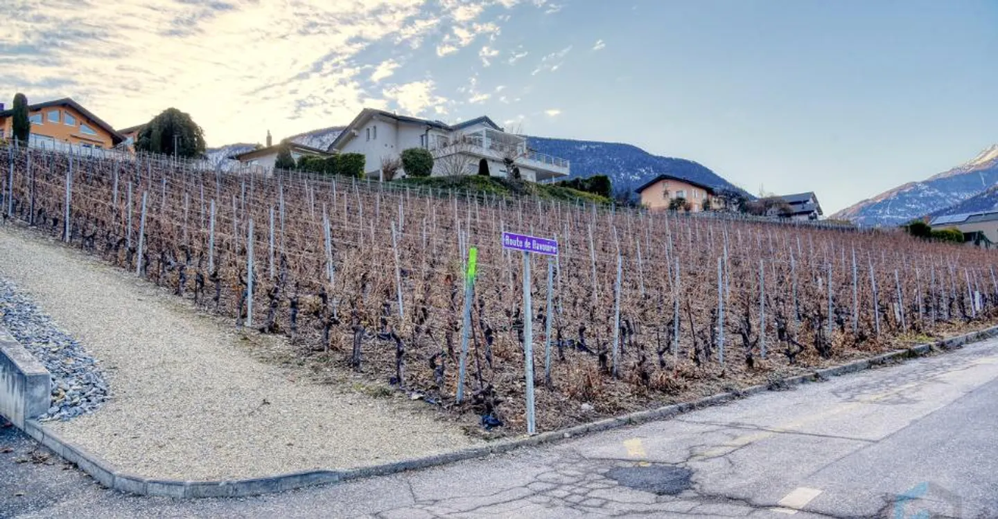 EXCLUSIVITY Splendid building plot of 804m² in Miège (Noble-Contrée) - Photo 6 of 7