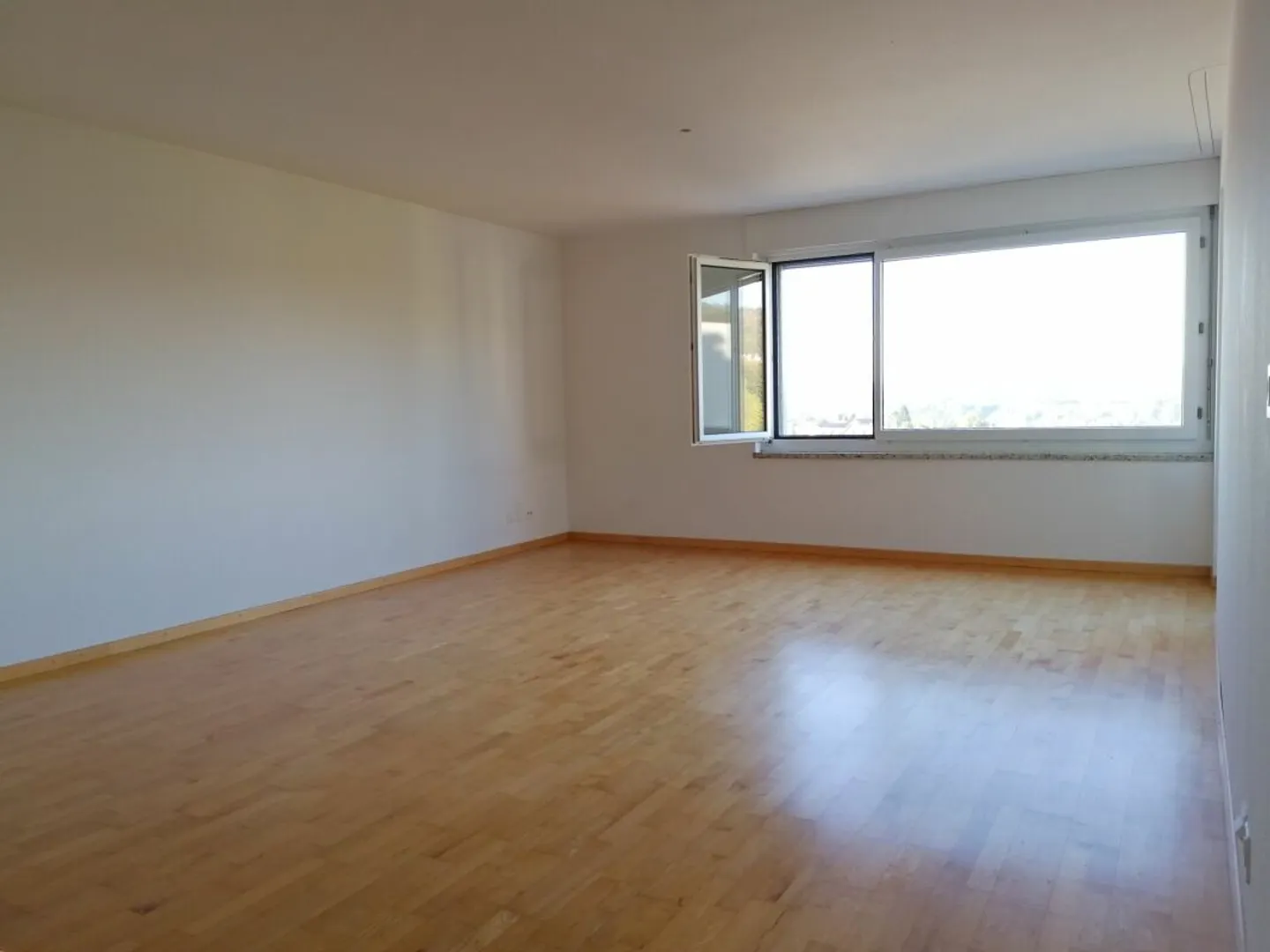 Helle Wohnung mit Rheinfallblick - Foto 2 von 14