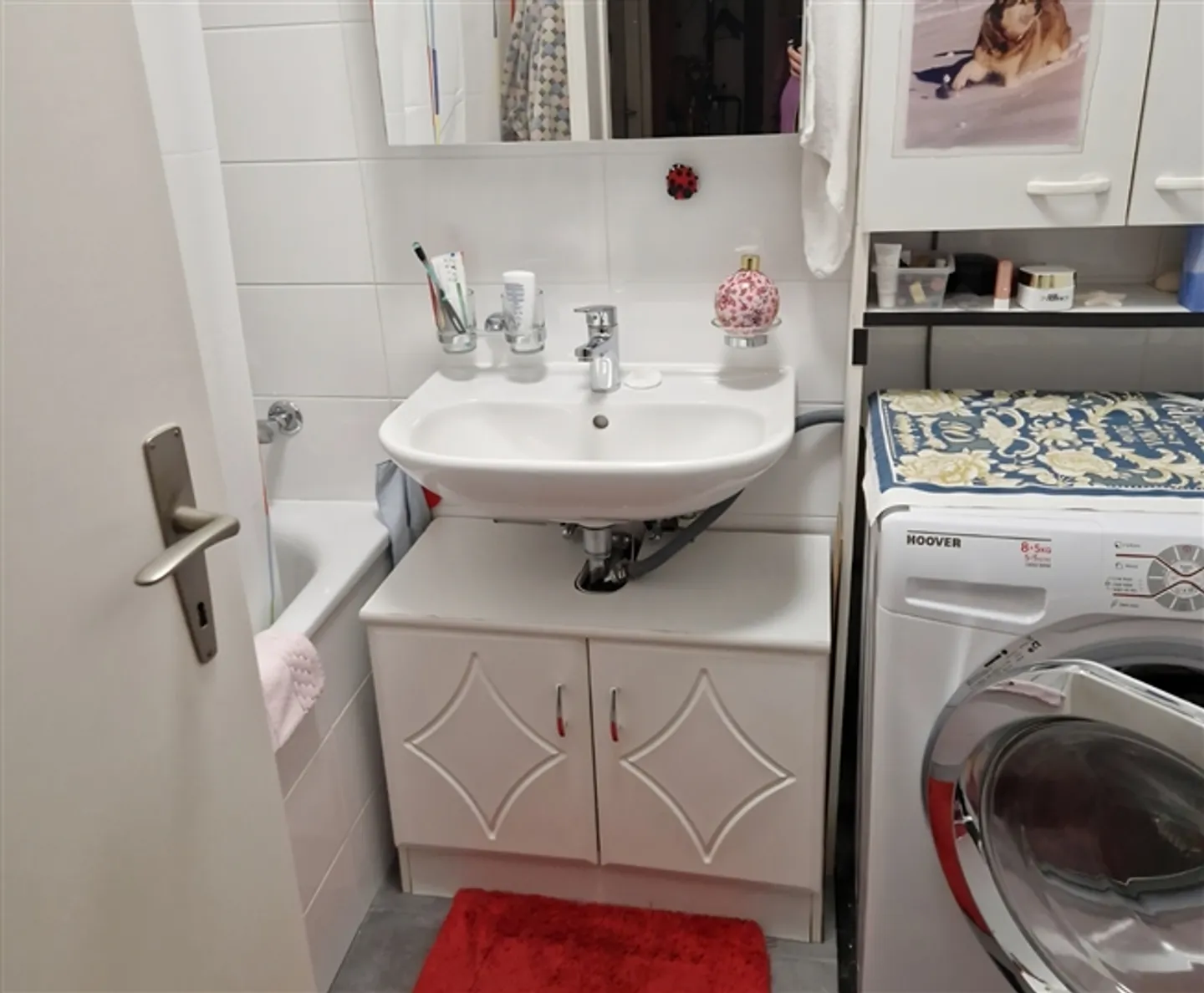 "APPARTAMENTO 3,5 STANZE A GINEVRA, ARREDATO, TEMPORANEO" - Foto 5 di 5