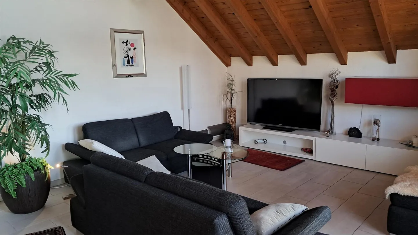 Beautiful, spacious apartment near the center with caretaker services - Photo 1 of 17