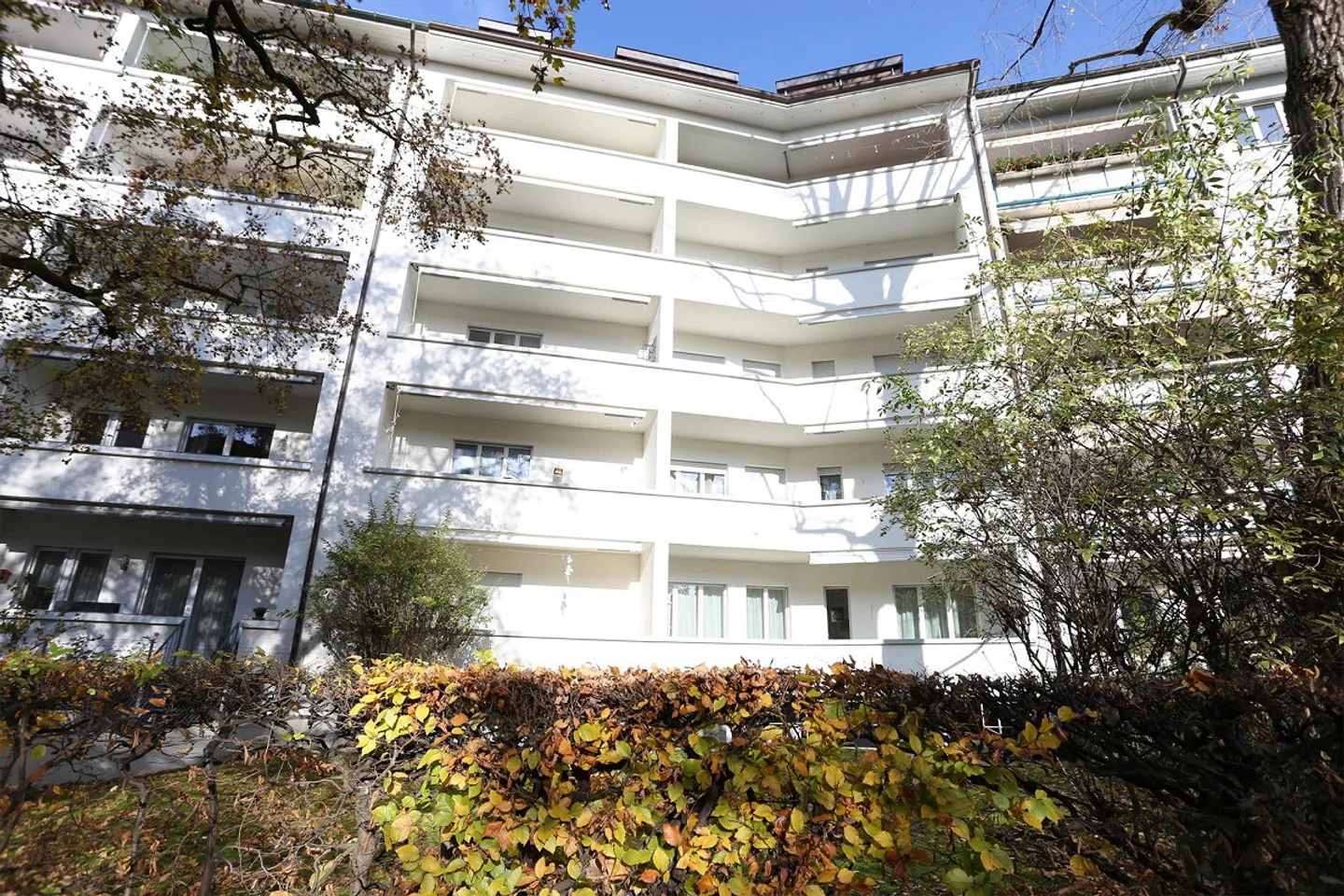 Appartement 1 pièce rénové à Bâle près de l'hôpital Felix Platter - Photo 3 sur 8