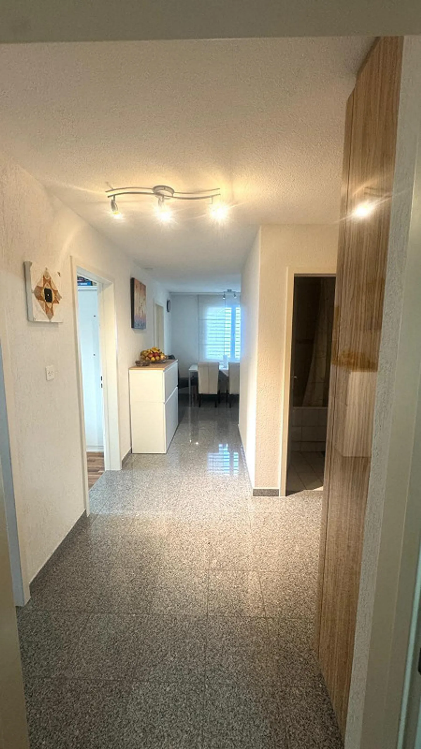 Sunny condominium with a view of the Appenzellerland - Photo 6 of 18