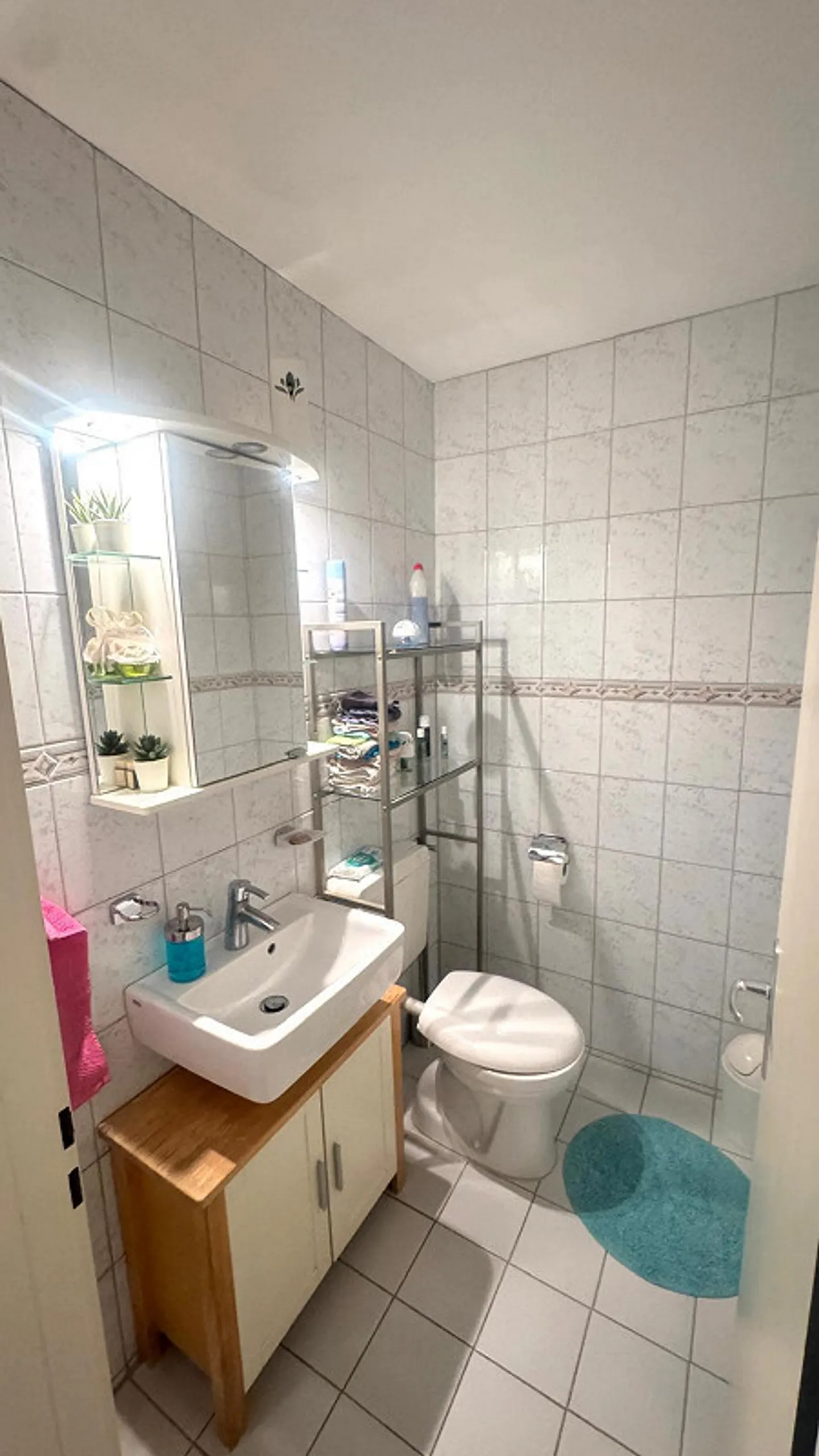 Sunny condominium with a view of the Appenzellerland - Photo 11 of 18