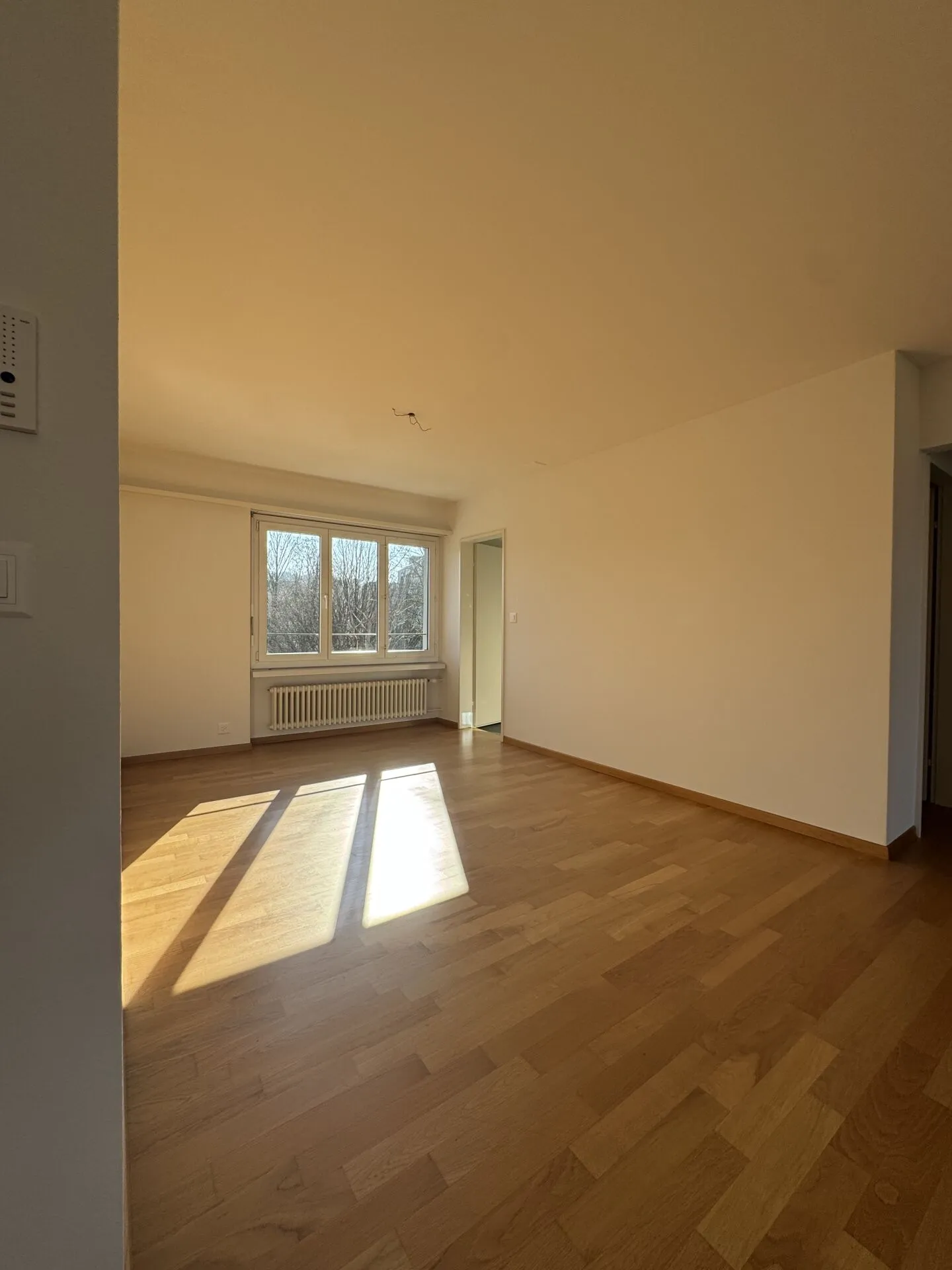 Charmante Wohnung in Uster - Foto 6 von 15