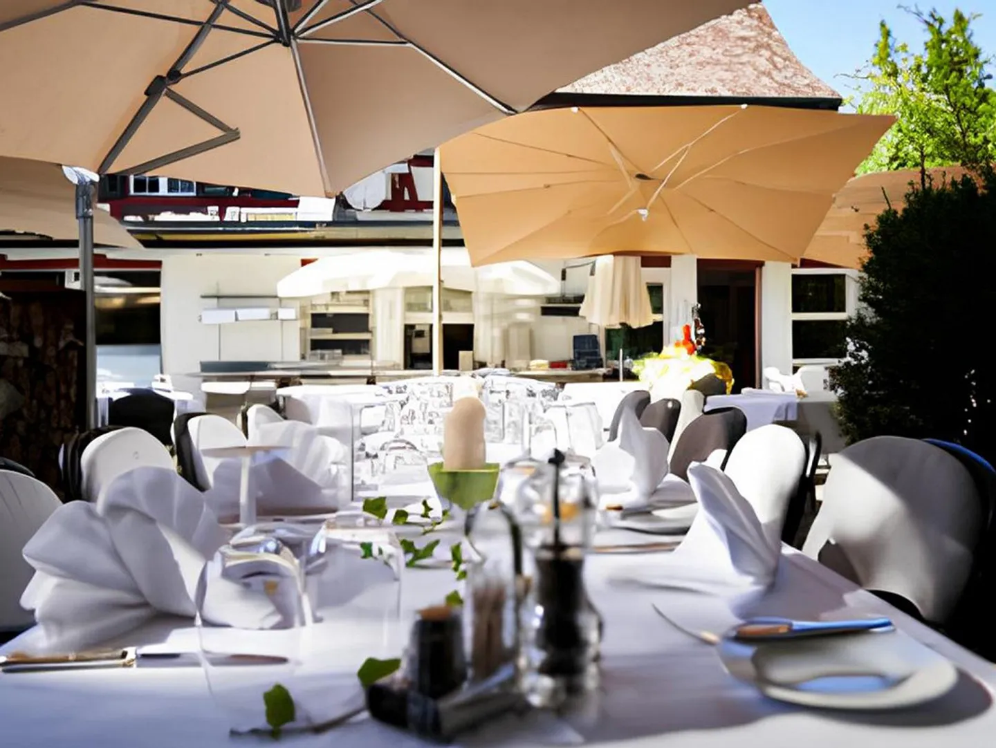 Restaurant "Gasthof Sternen" and Multi-Family House - Photo 6 of 15