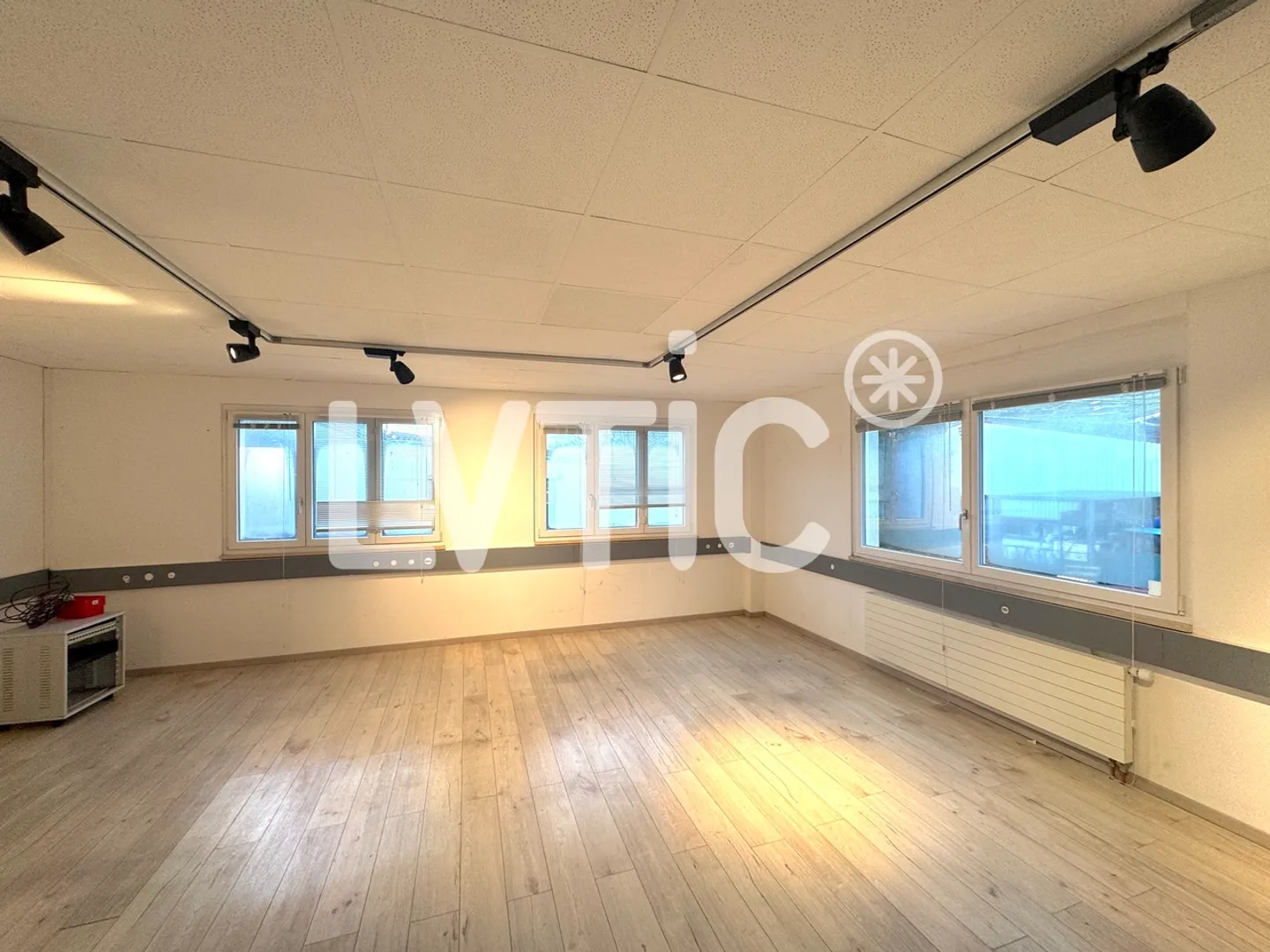 Workshop, warehouse, offices of 1500 m2 divisible for rent in Villeneuve - Photo 4 of 6