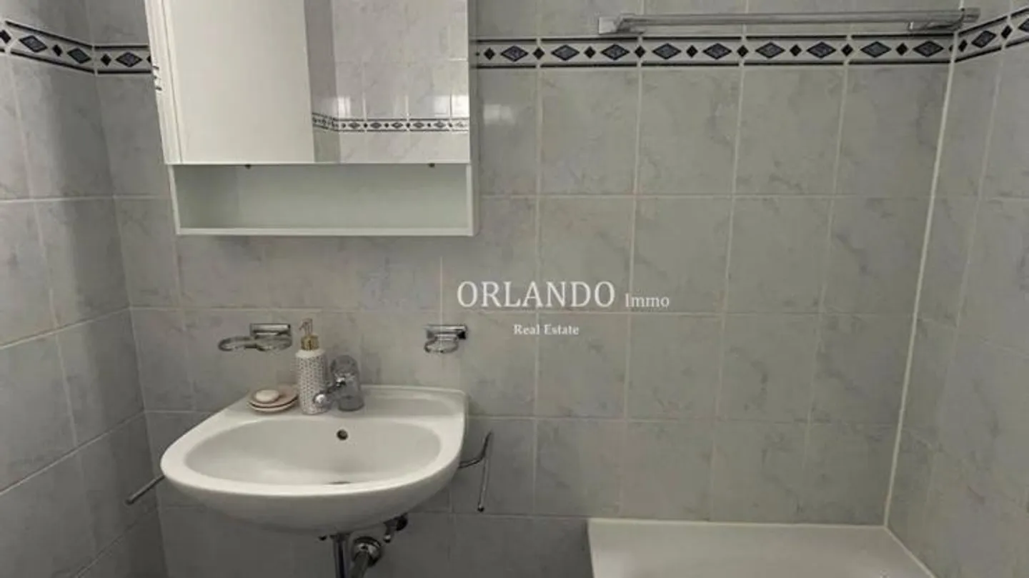 Charming Apartment in Eaux-Vives - Photo 5 of 6