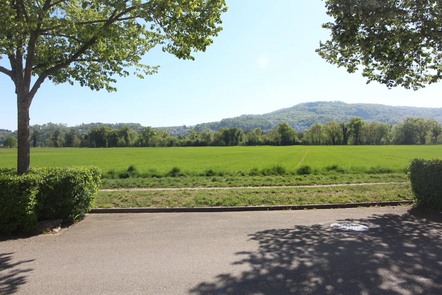 Live and enjoy - Photo 1 of 4