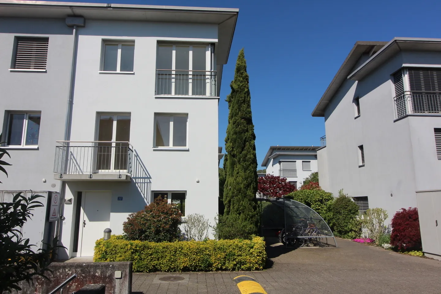 Live and enjoy - Photo 2 of 4