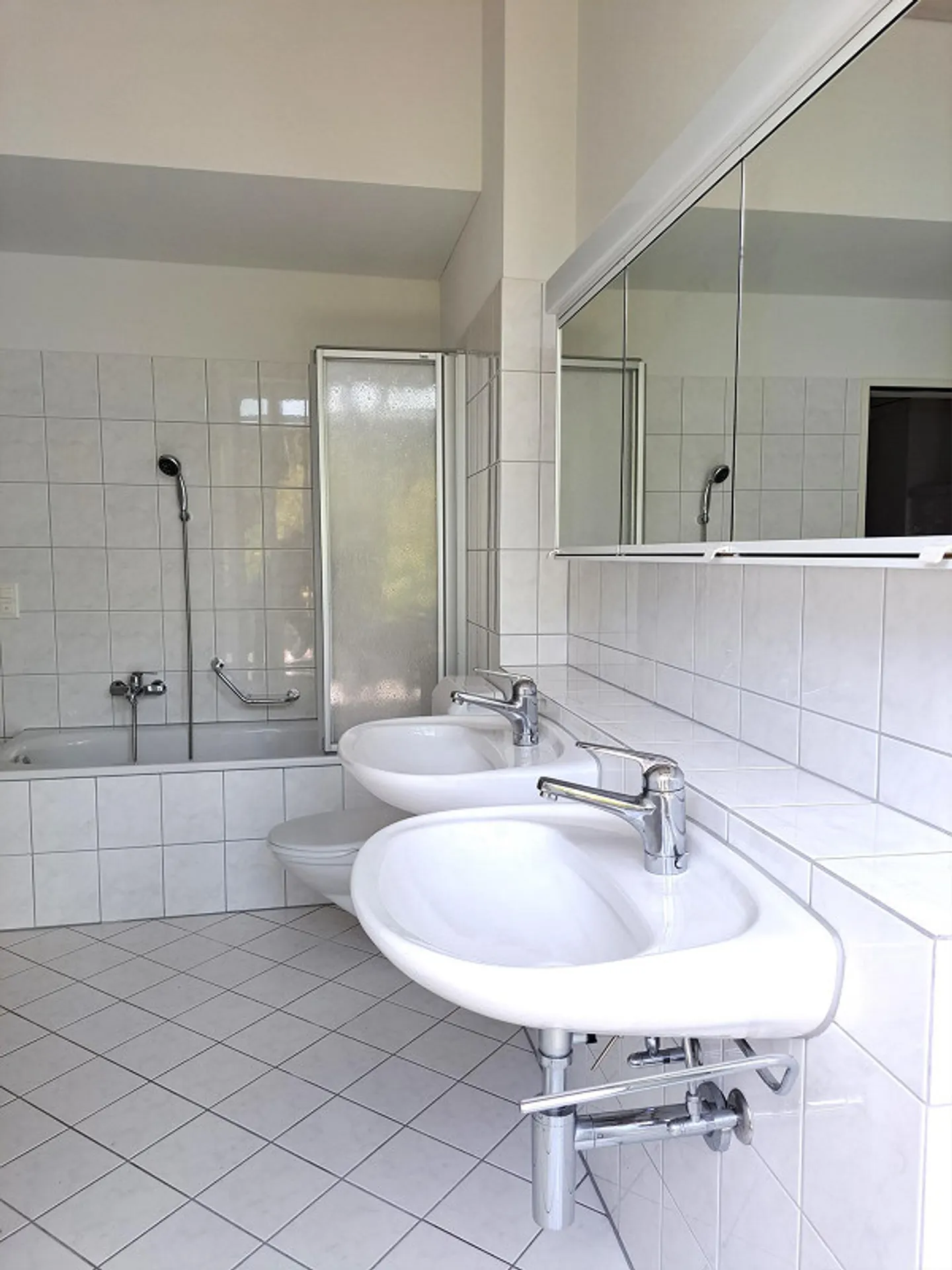 Appartamento duplex unico con fantastico panorama sull'Alpstein - Foto 16 di 27