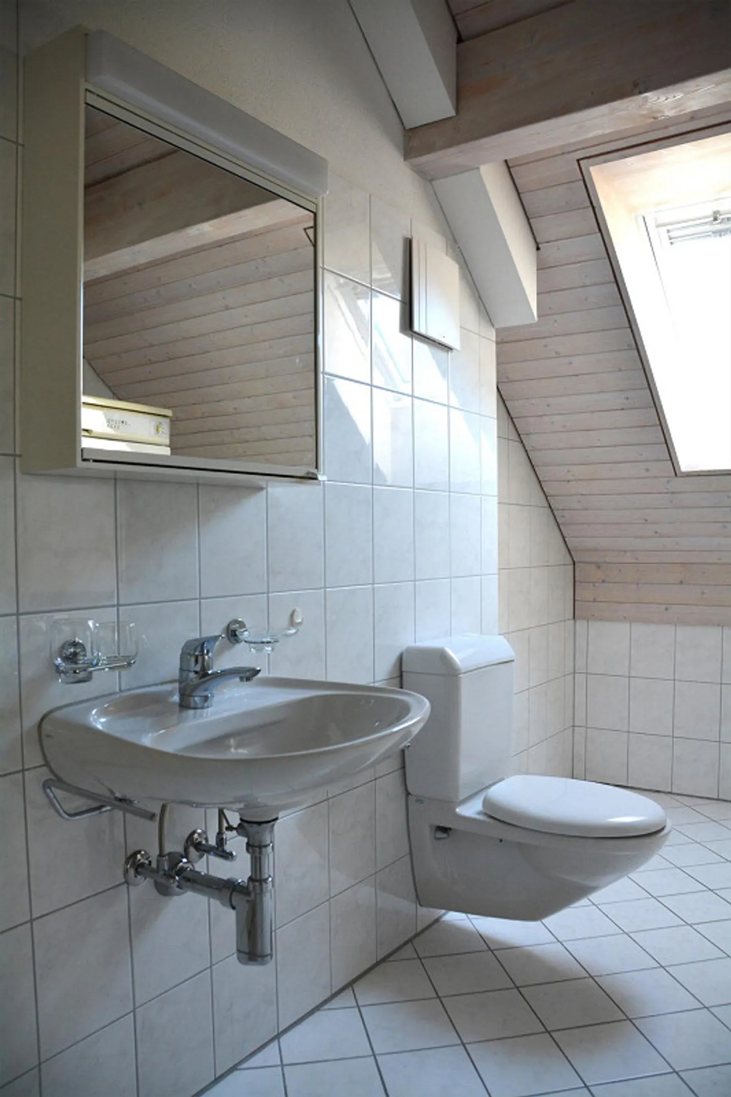 Appartamento duplex unico con fantastico panorama sull'Alpstein - Foto 24 di 27