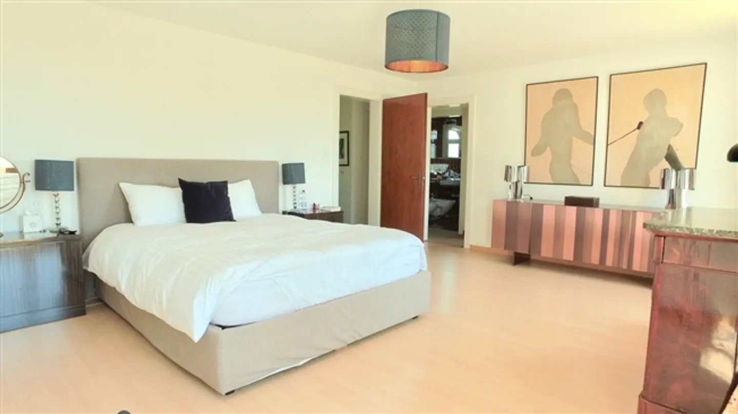 Magnifique appartement de 7 pièces avec jardin - Photo 5 sur 18