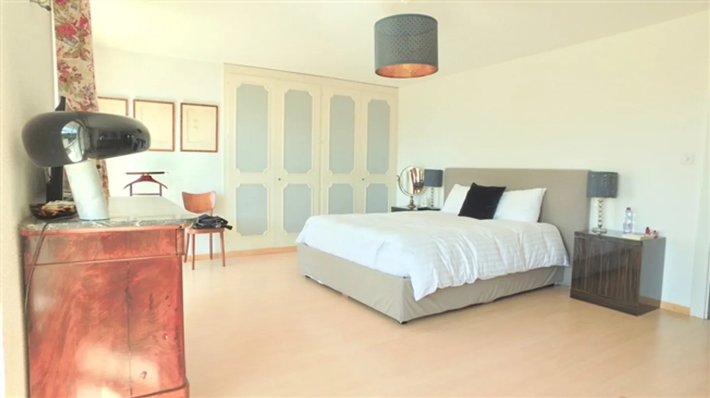 Magnifique appartement de 7 pièces avec jardin - Photo 7 sur 18