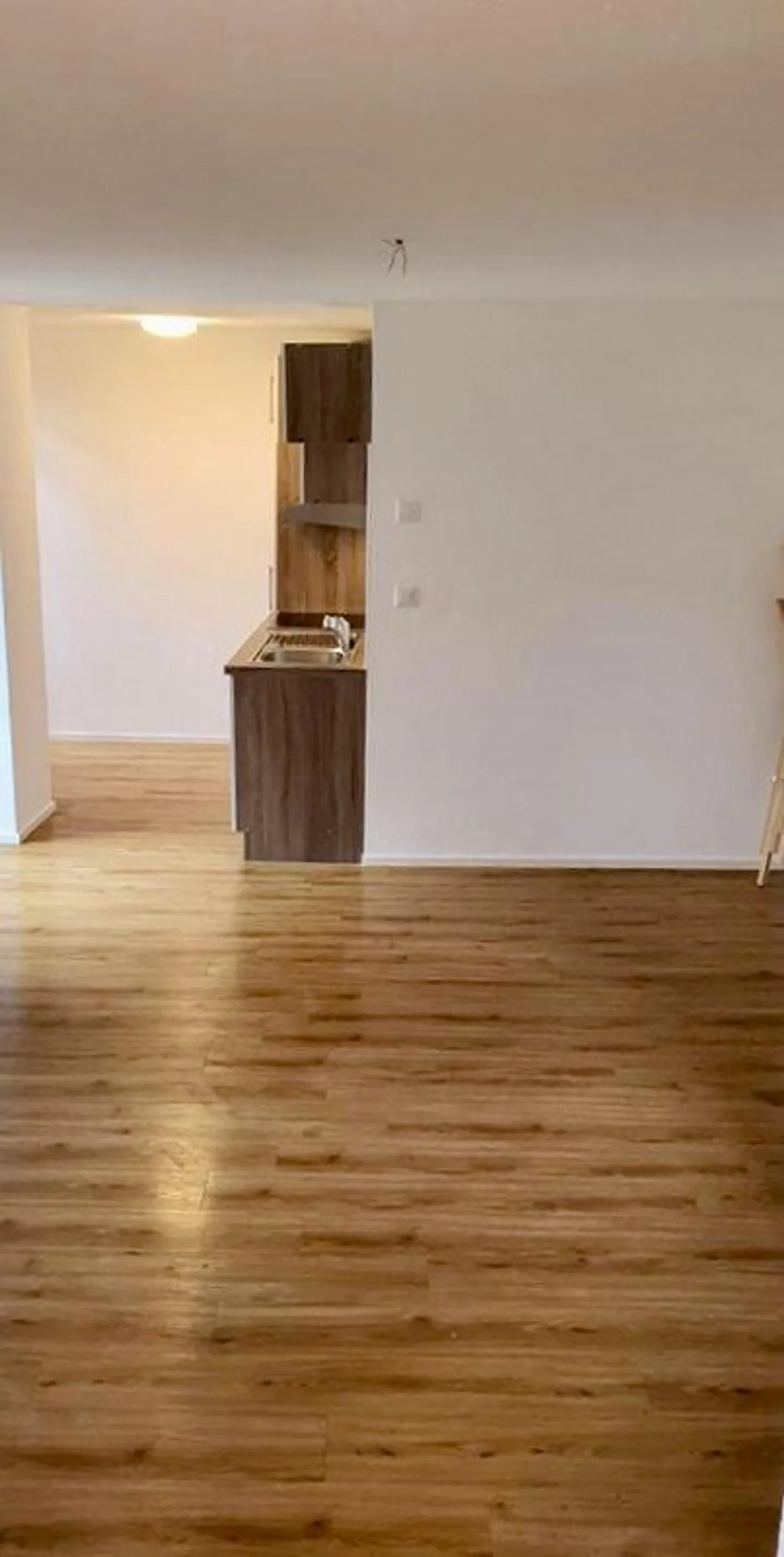 Tiny House au Centre de Sissach - Photo 1 sur 5