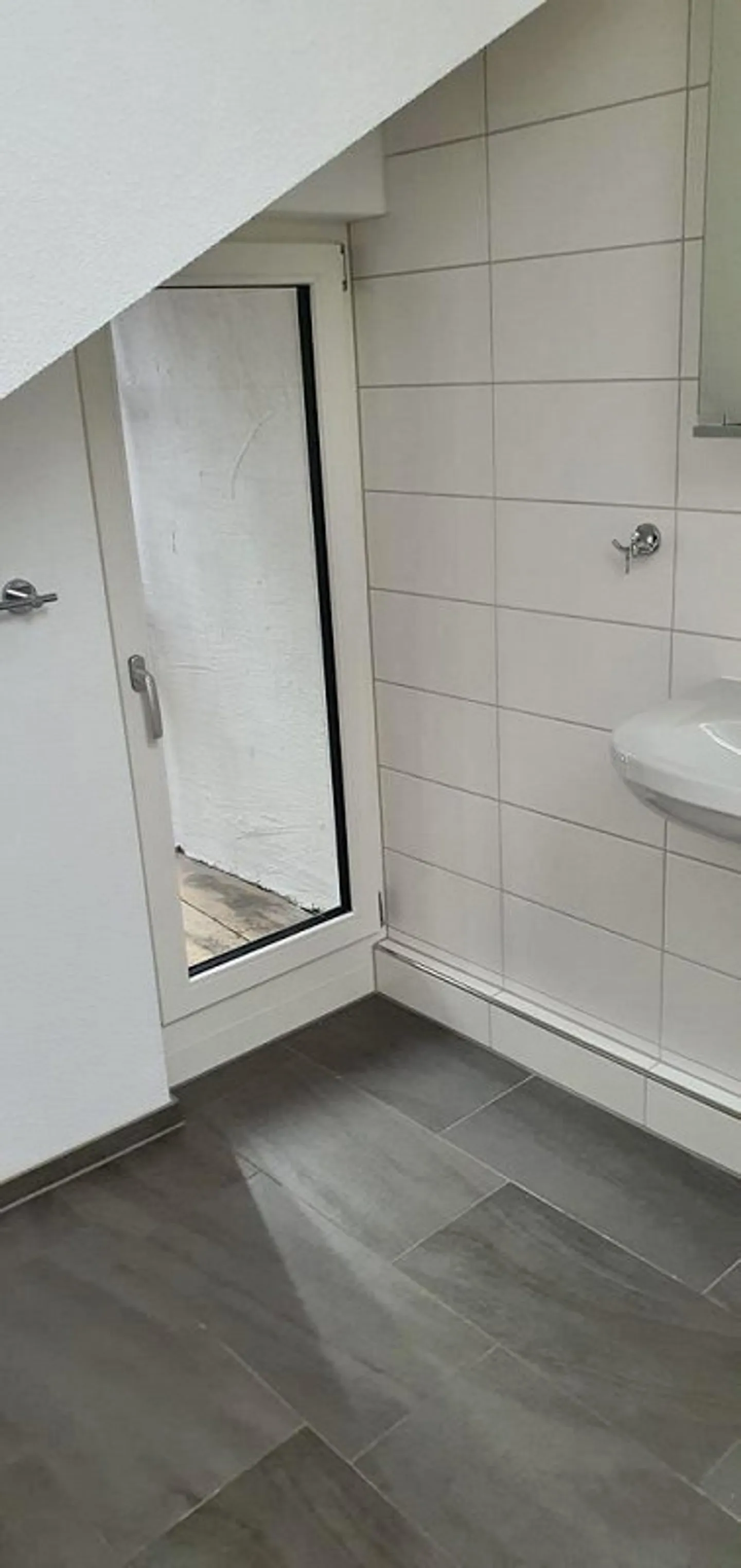 Tiny House au Centre de Sissach - Photo 4 sur 5