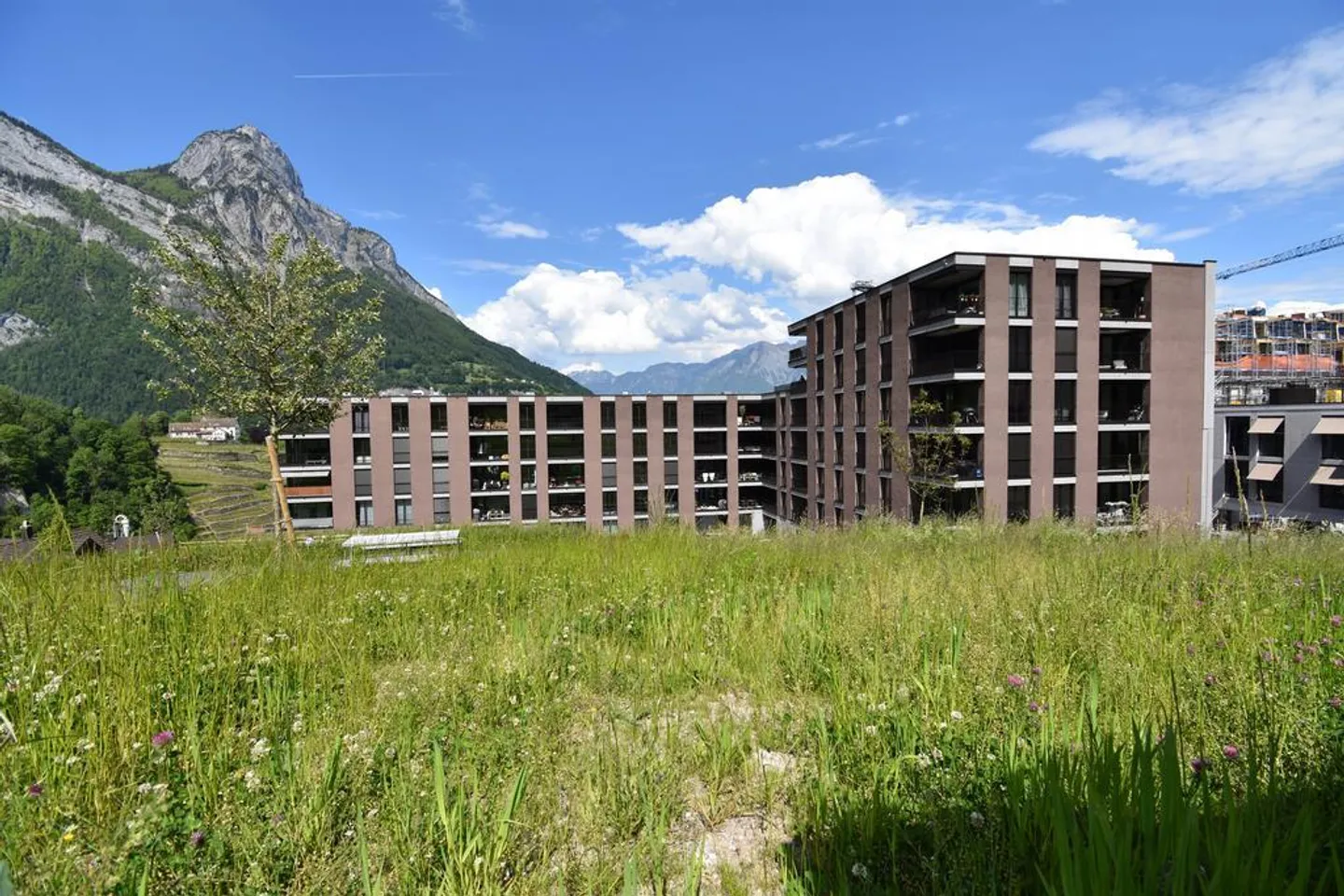 Vivere con vista - Foto 7 di 8