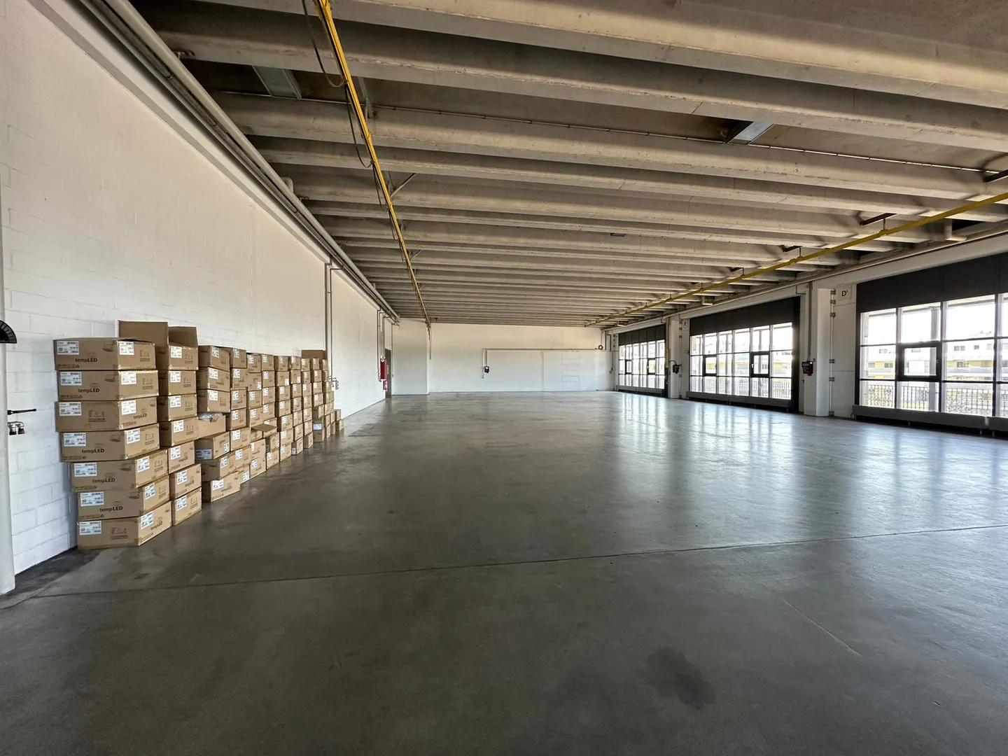 Geräumige Industriehalle in Arbon - Foto 4 von 4