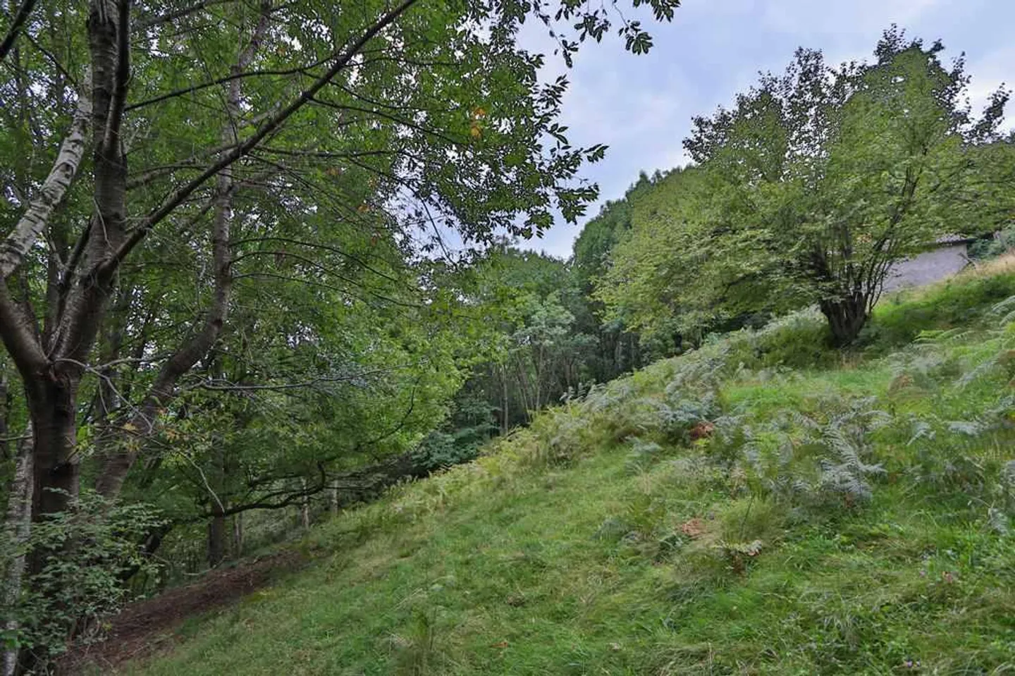 Gruppo Rustico con 9 Rustici in Posizione Idyllica con circa 5609m2 di Terreno - Foto 15 di 30