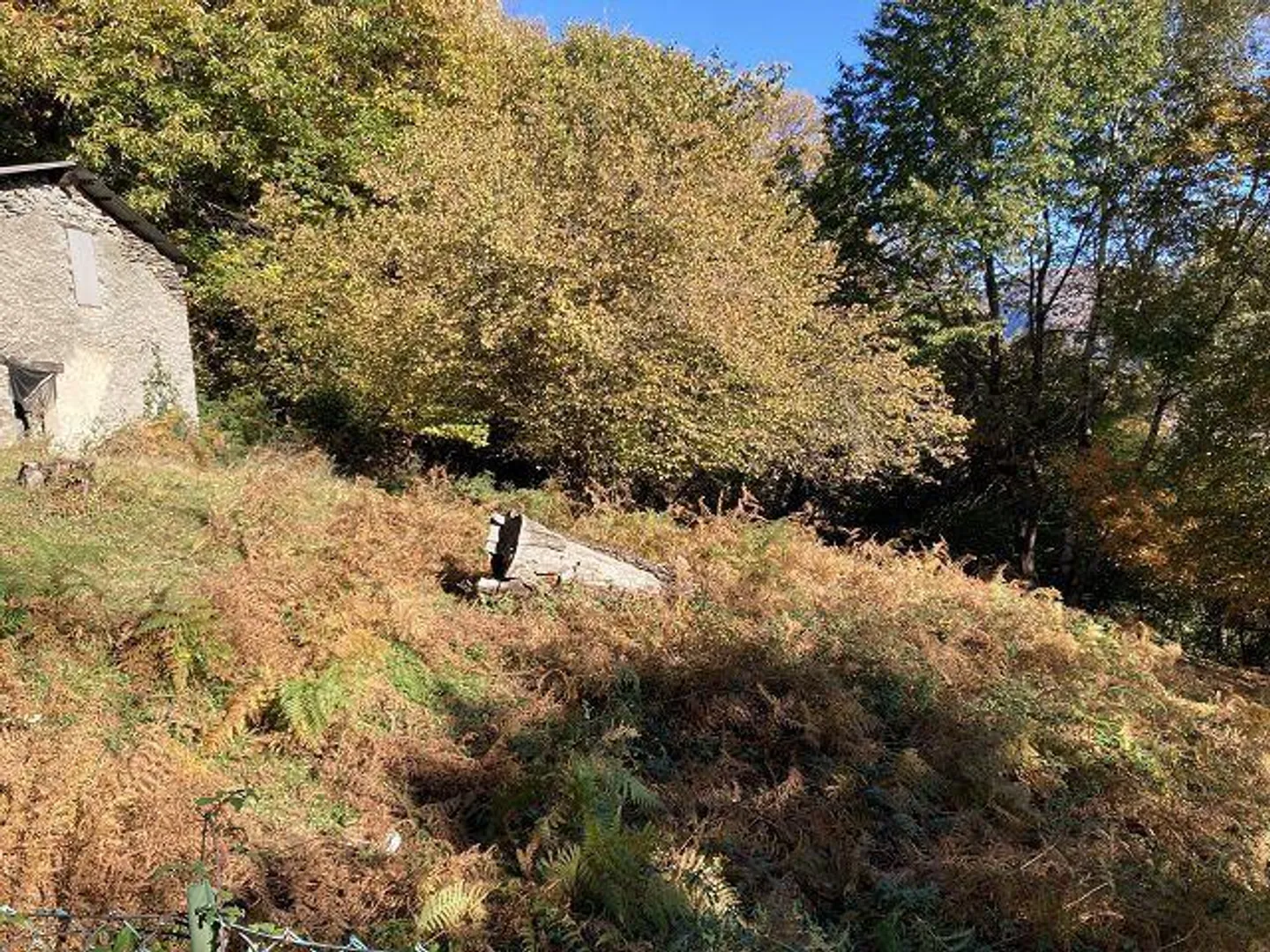 Gruppo Rustico con 9 Rustici in Posizione Idyllica con circa 5609m2 di Terreno - Foto 30 di 30
