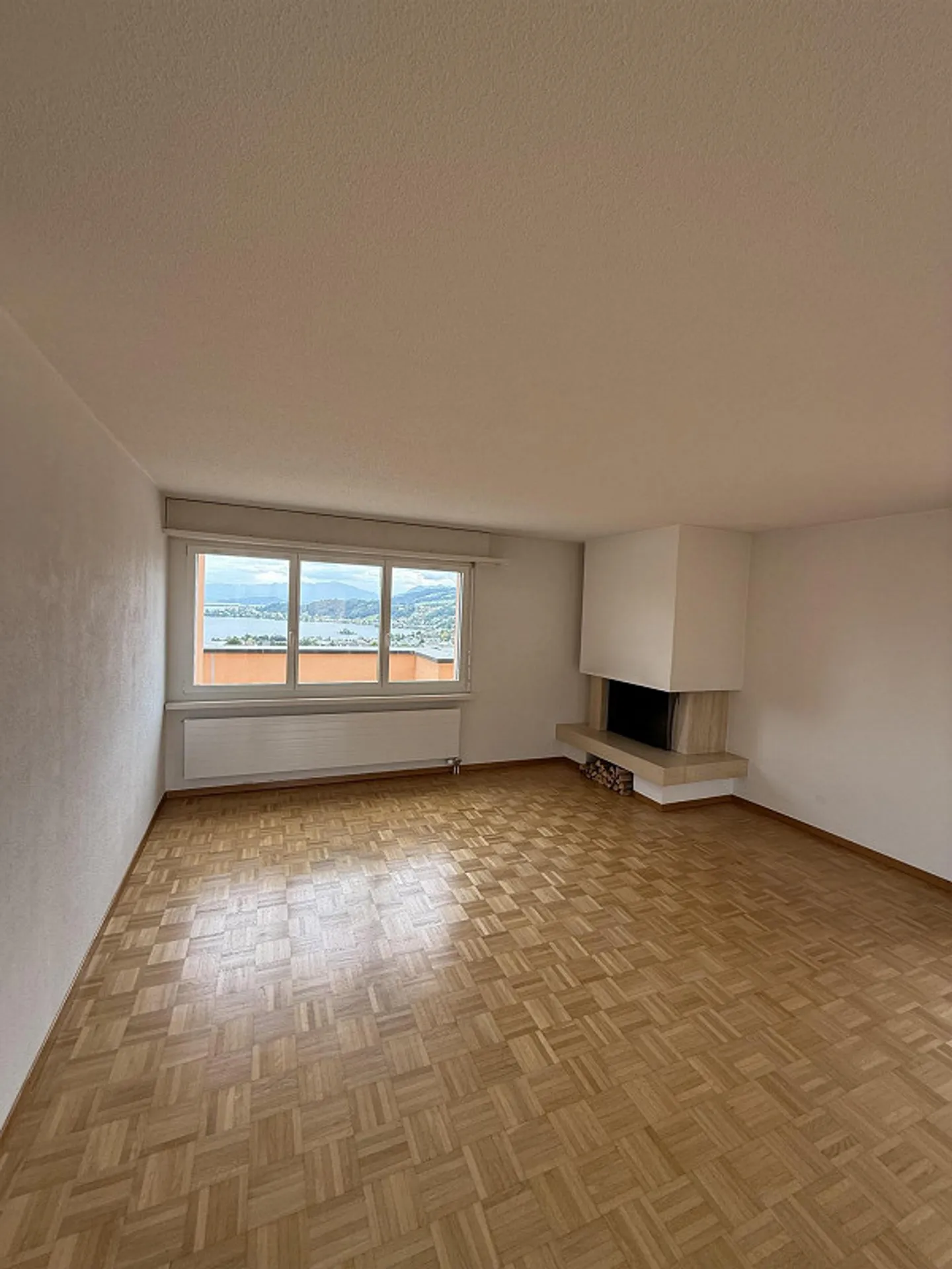 Appartamento attico di 4,5 stanze con vista panoramica e ampia terrazza - Foto 3 di 13
