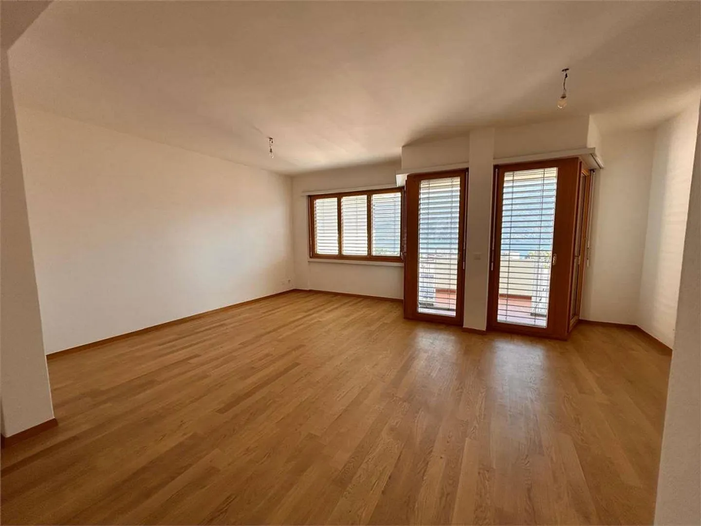 Renovated apartment in Lugano with lake view - Photo 4 of 13