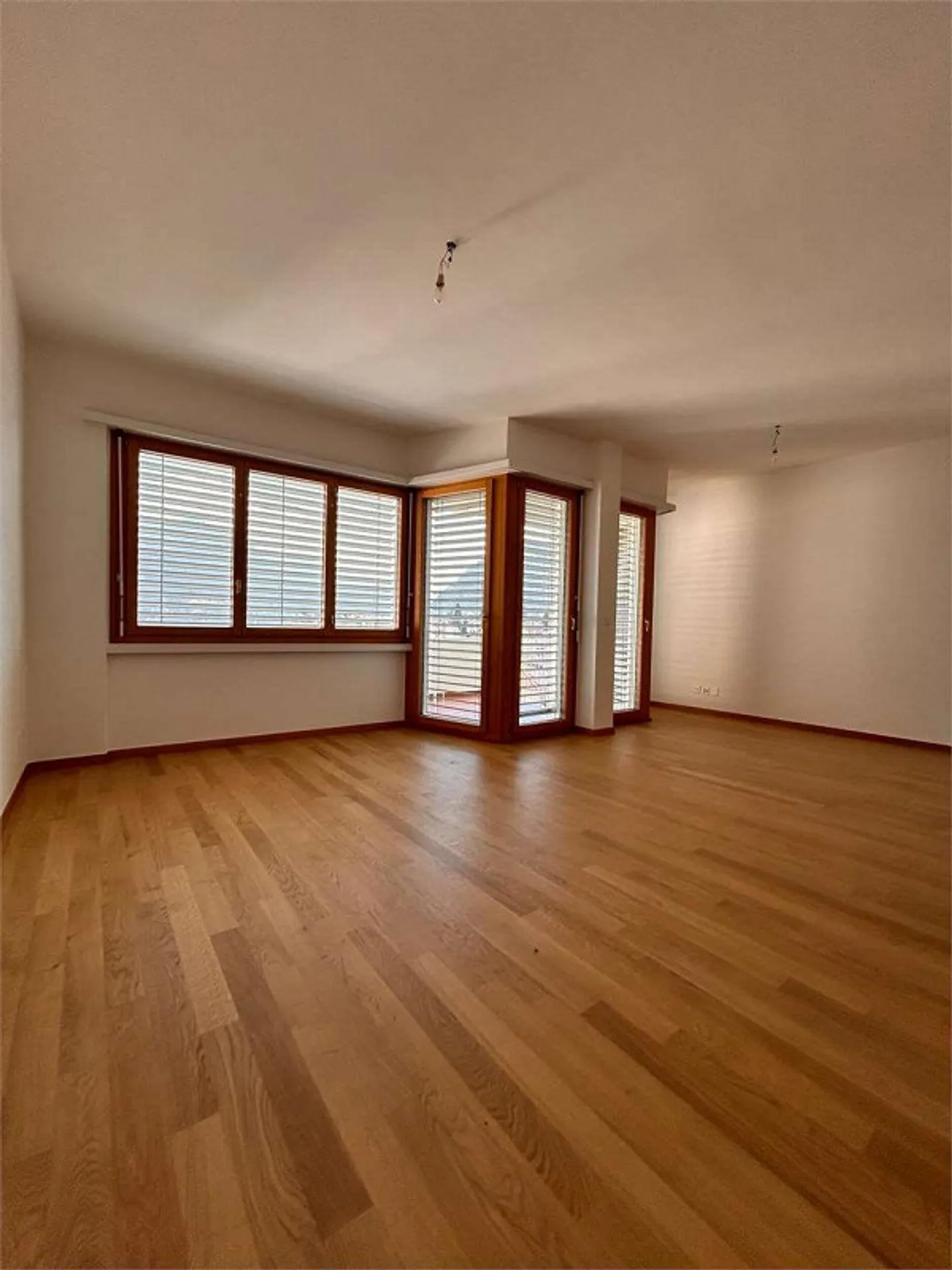 Renovated apartment in Lugano with lake view - Photo 5 of 13