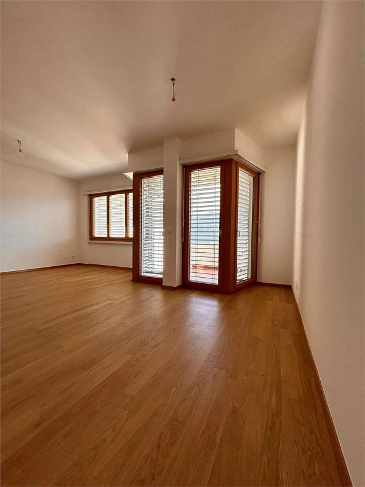 Renovated apartment in Lugano with lake view - Photo 6 of 13