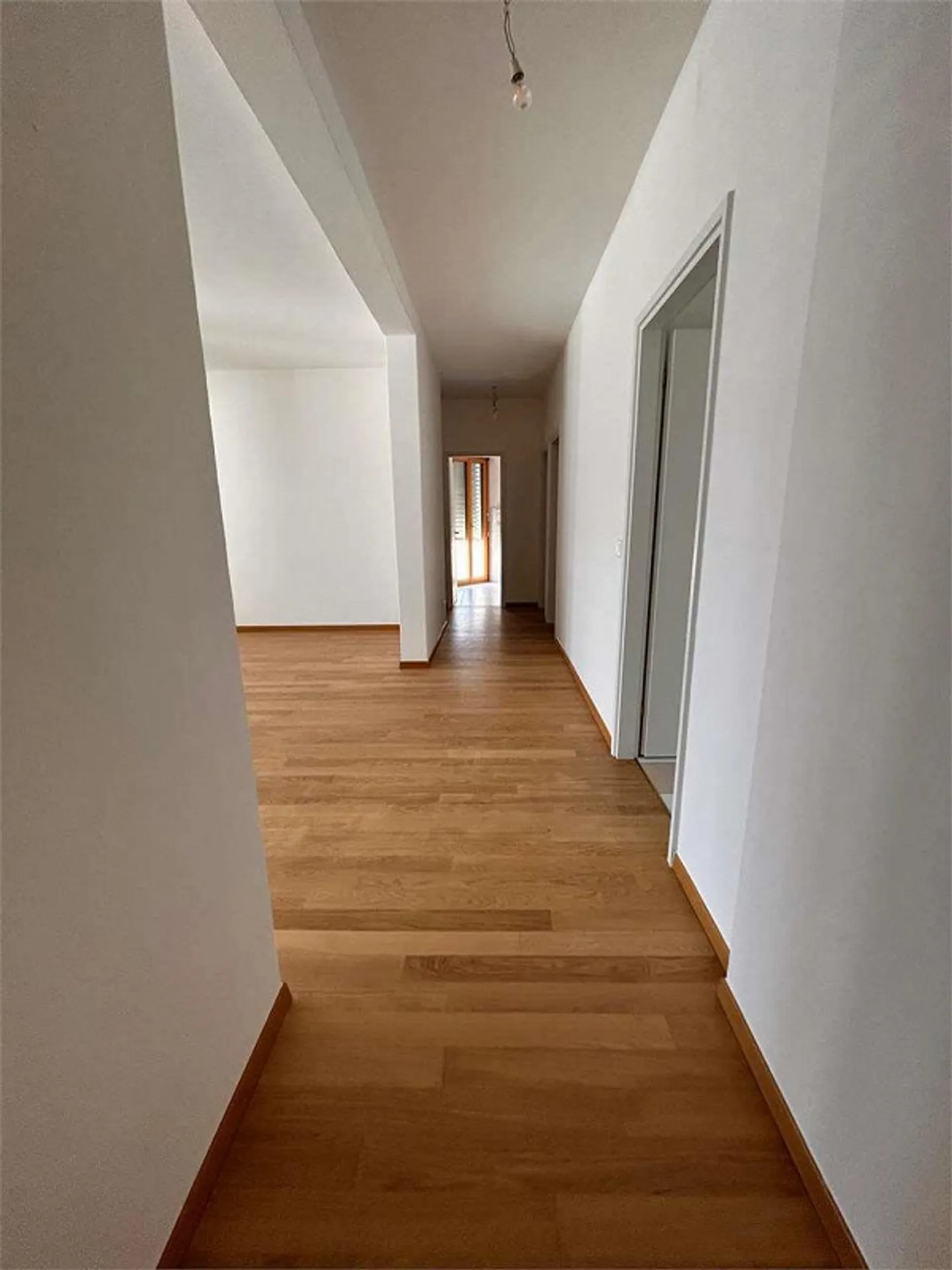 Renovated apartment in Lugano with lake view - Photo 3 of 13