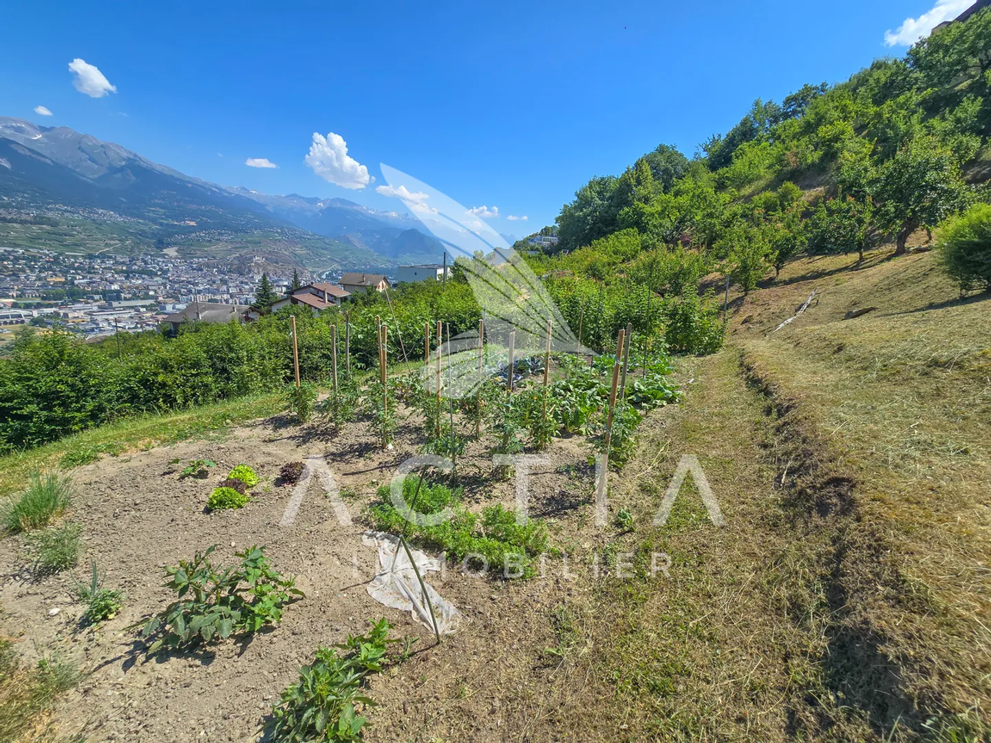 Casa Familiare Incantevole con Potenziale - Foto 11 di 12