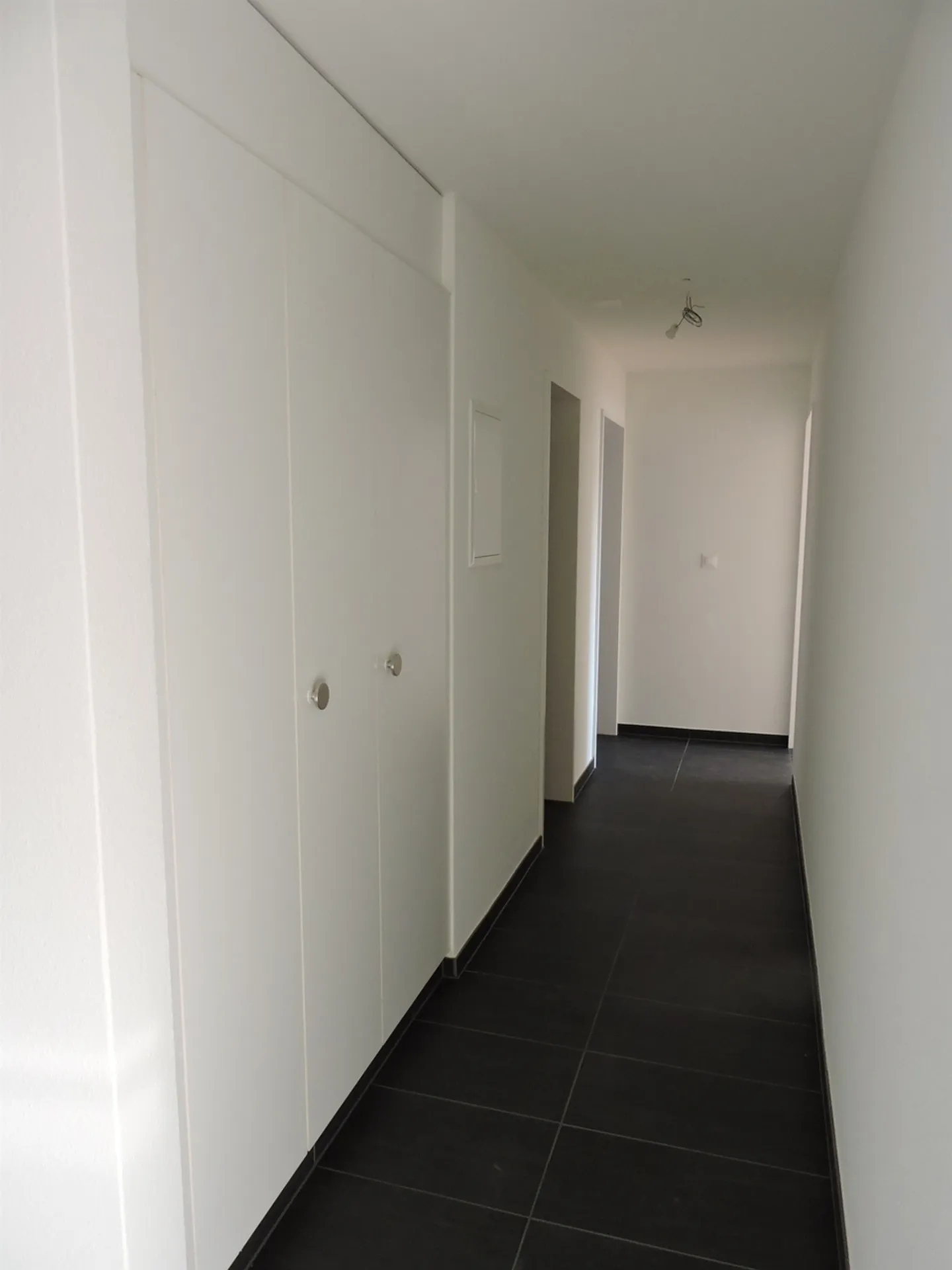 Vivere in famiglia a Muttenz! - Foto 2 di 8