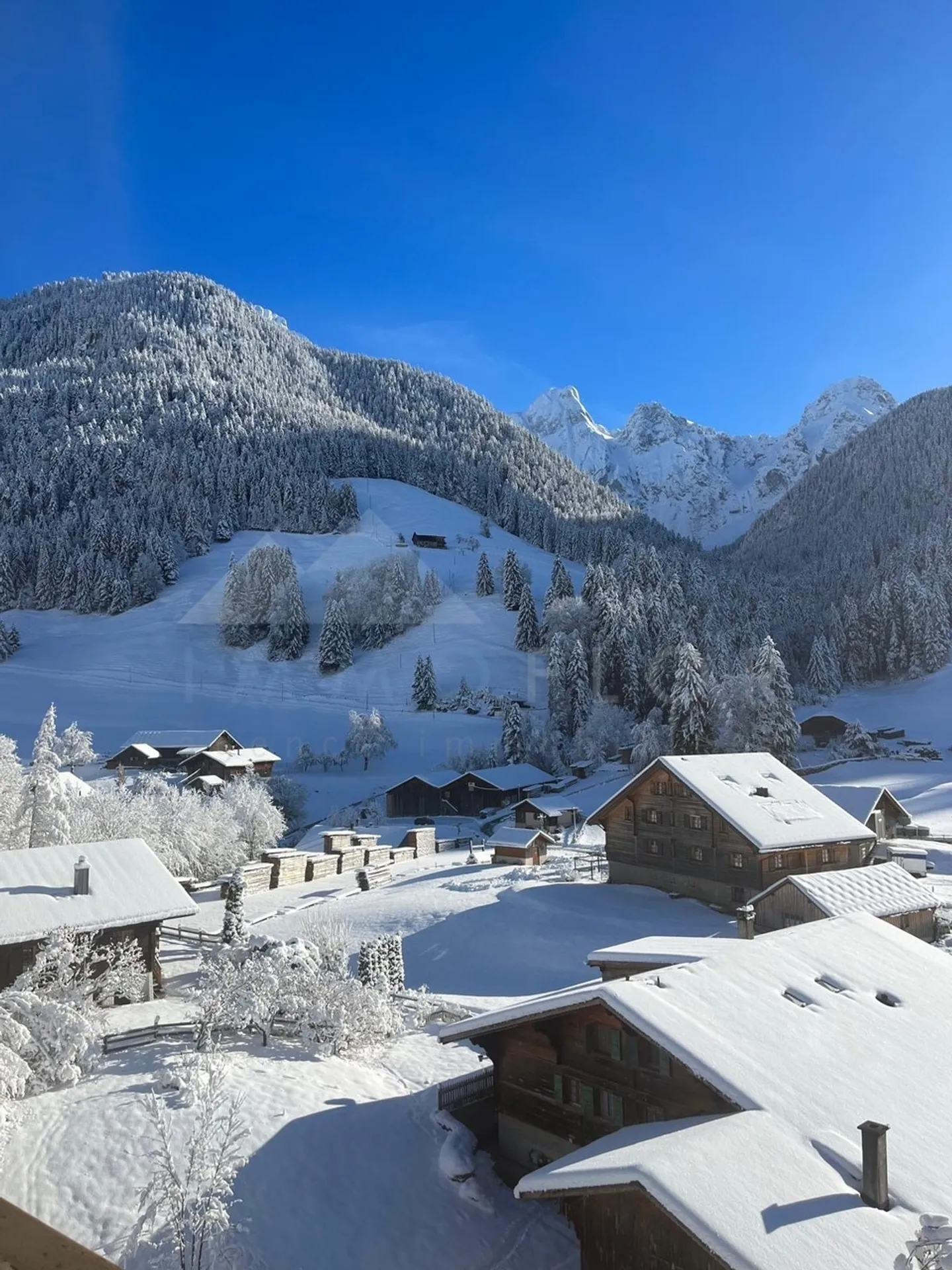 Appartement Chalet avec Vue Montagne - Photo 30 sur 32