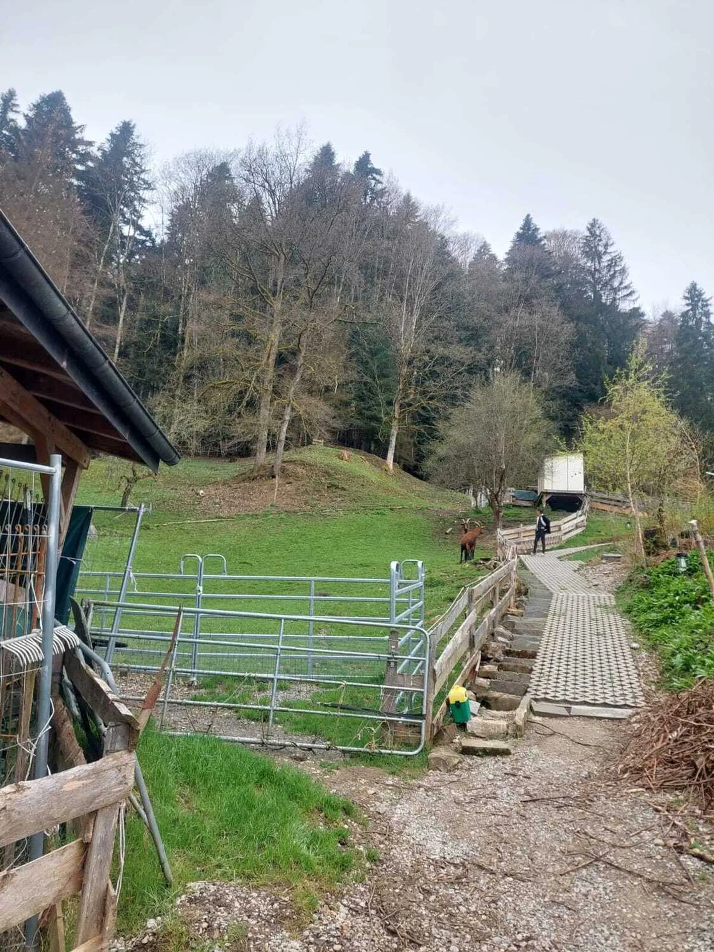 Chalet Incantevole a Toggenburg - Foto 3 di 3