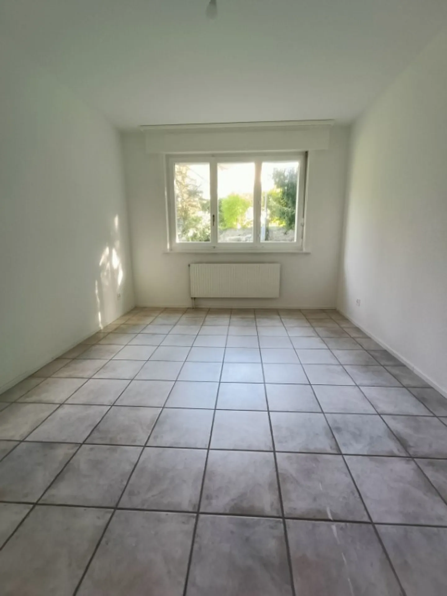 3½ Room Apartment on the Ground Floor - Photo 5 of 6