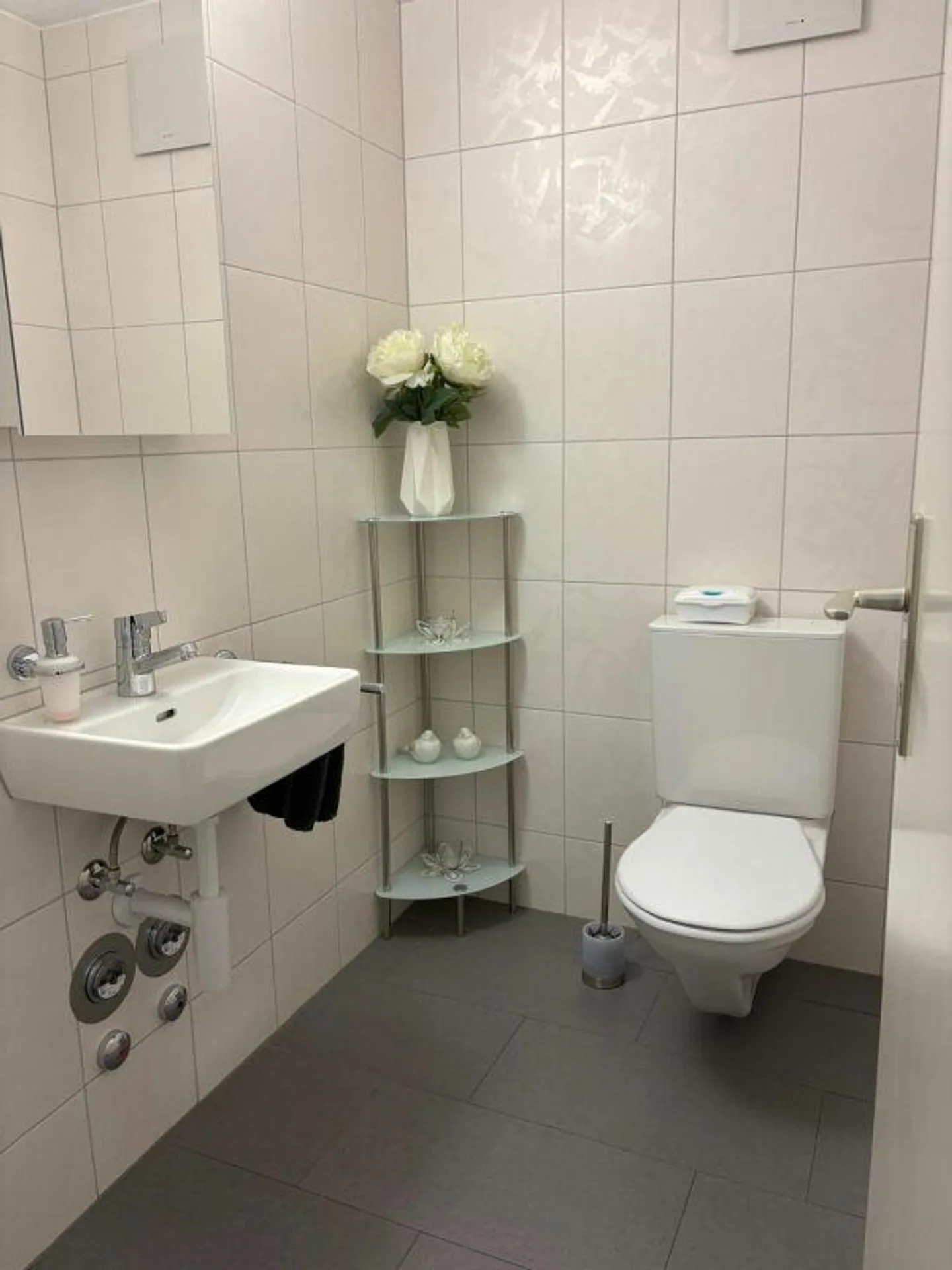 Charmant Appartement Attique à Gossau - Photo 8 sur 11