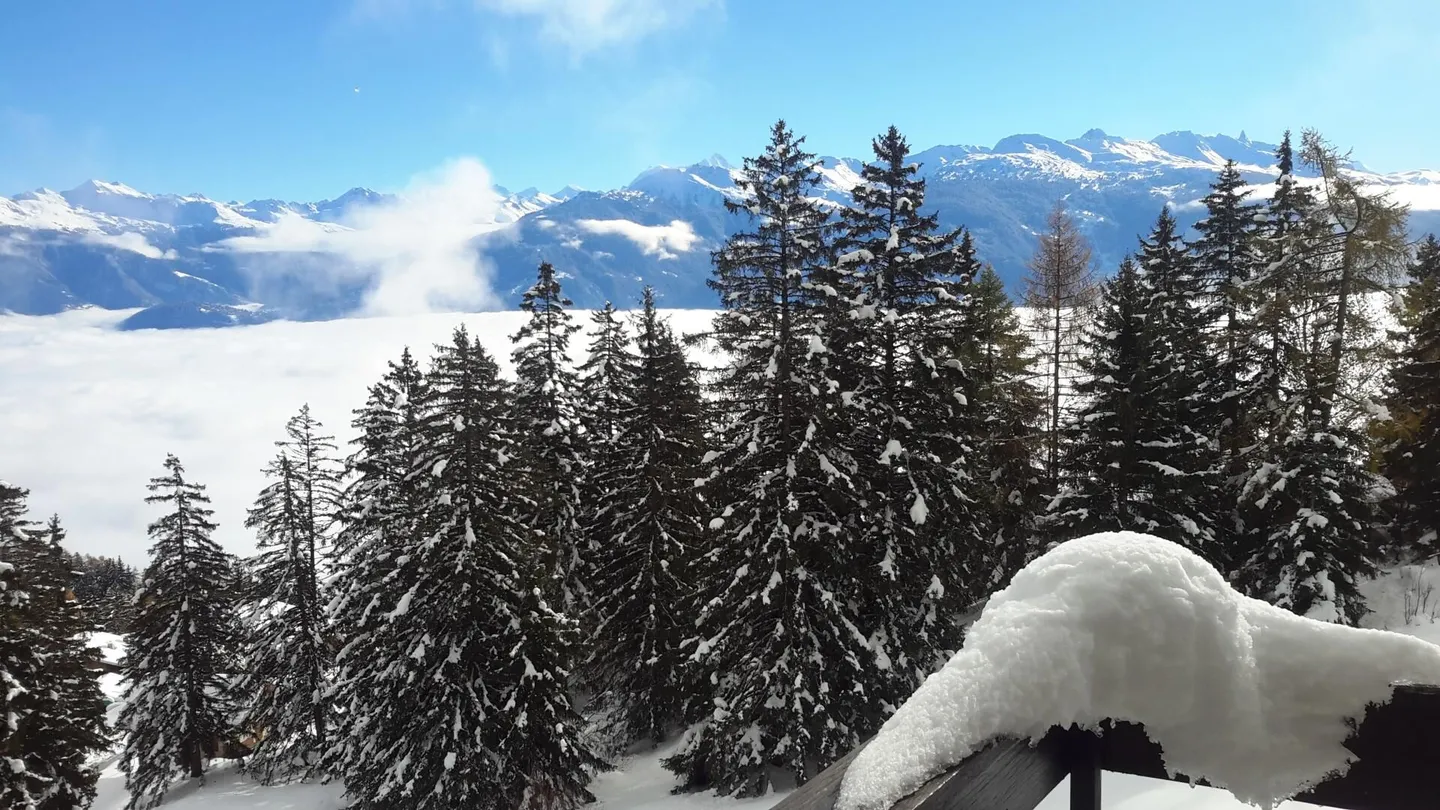 Wöchentliche Vermietung Apartment 3-Zimmer in Anzère - Foto 13 von 15