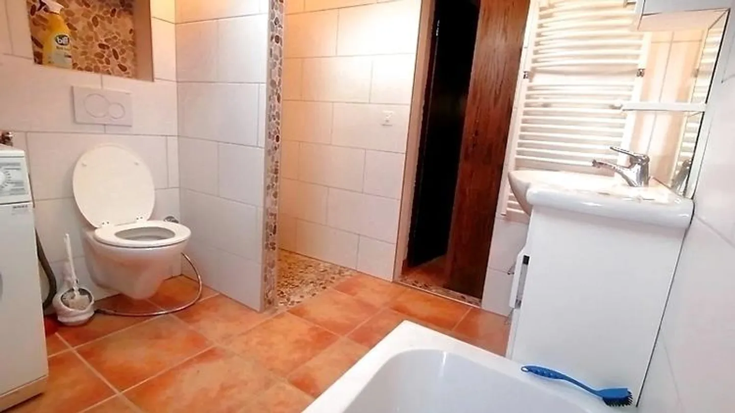 2½ ROOM ATTIC APARTMENT IN BASEL - ISELIN, FURNISHED - Photo 8 of 10