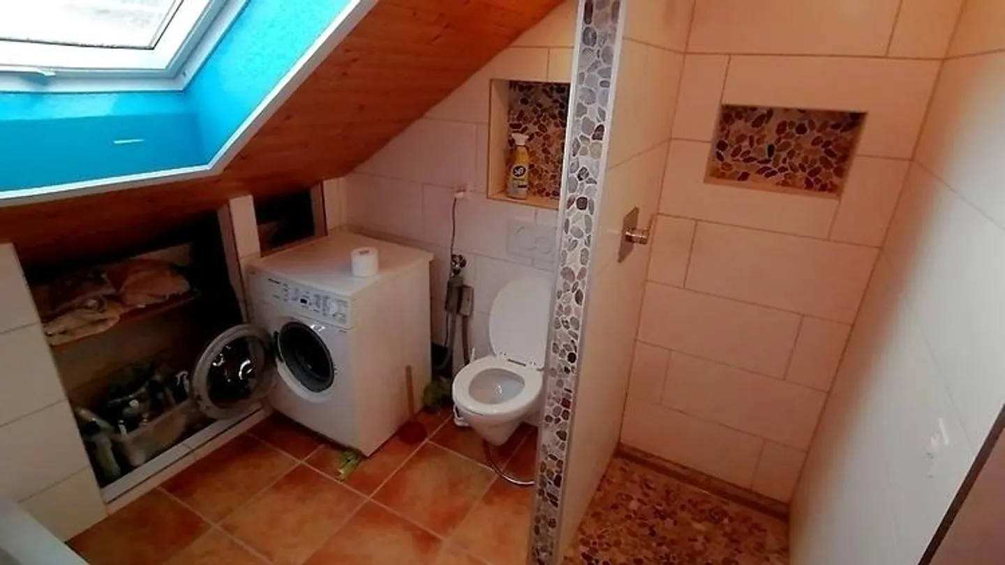 2½ ROOM ATTIC APARTMENT IN BASEL - ISELIN, FURNISHED - Photo 9 of 10