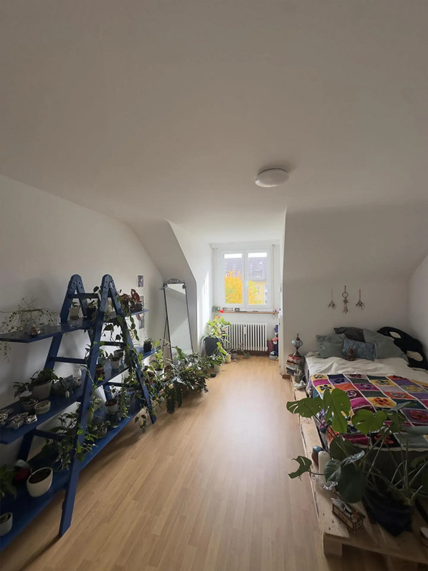WG Room Ostring - Photo 1 of 4