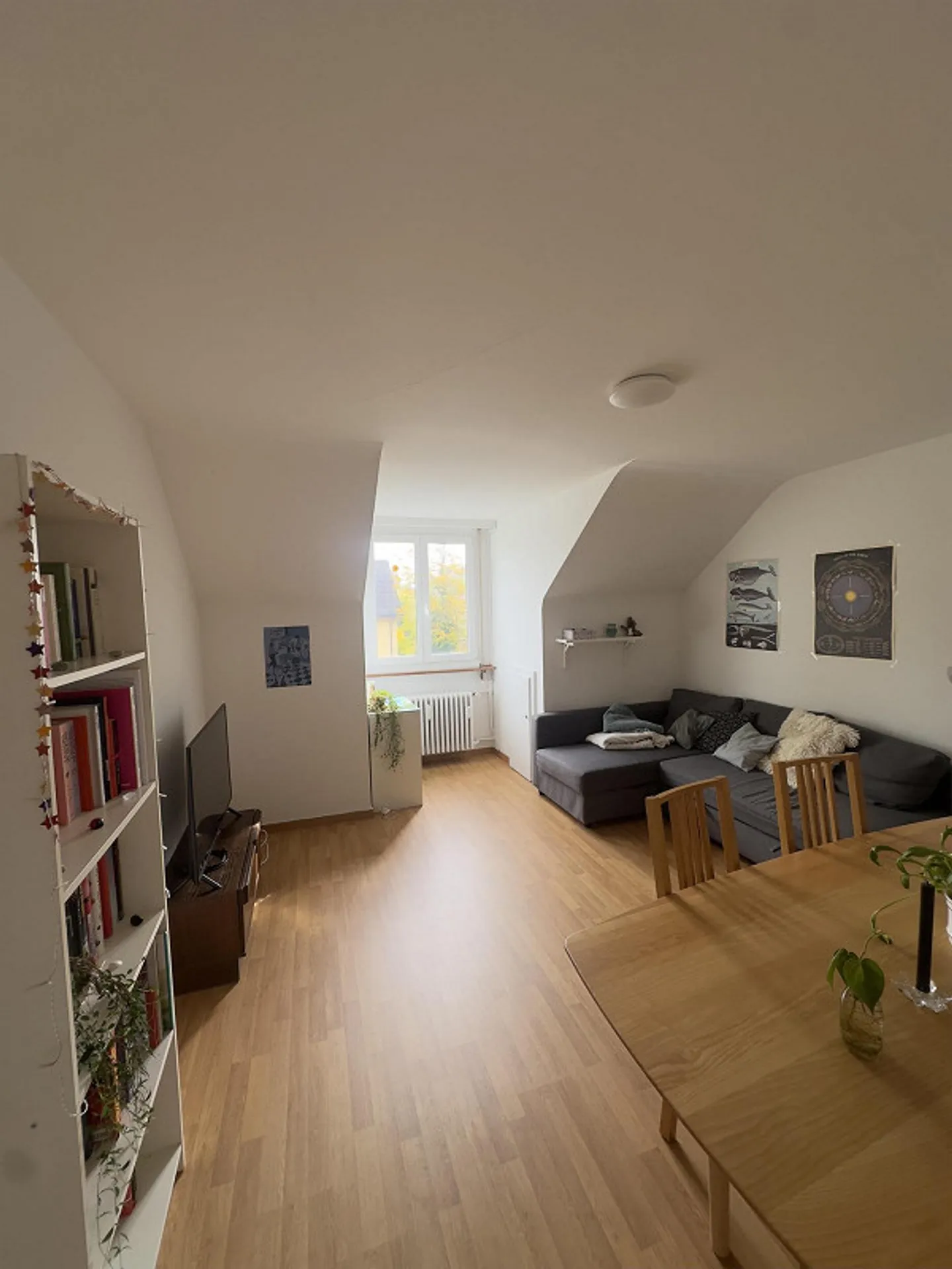 WG Room Ostring - Photo 2 of 4