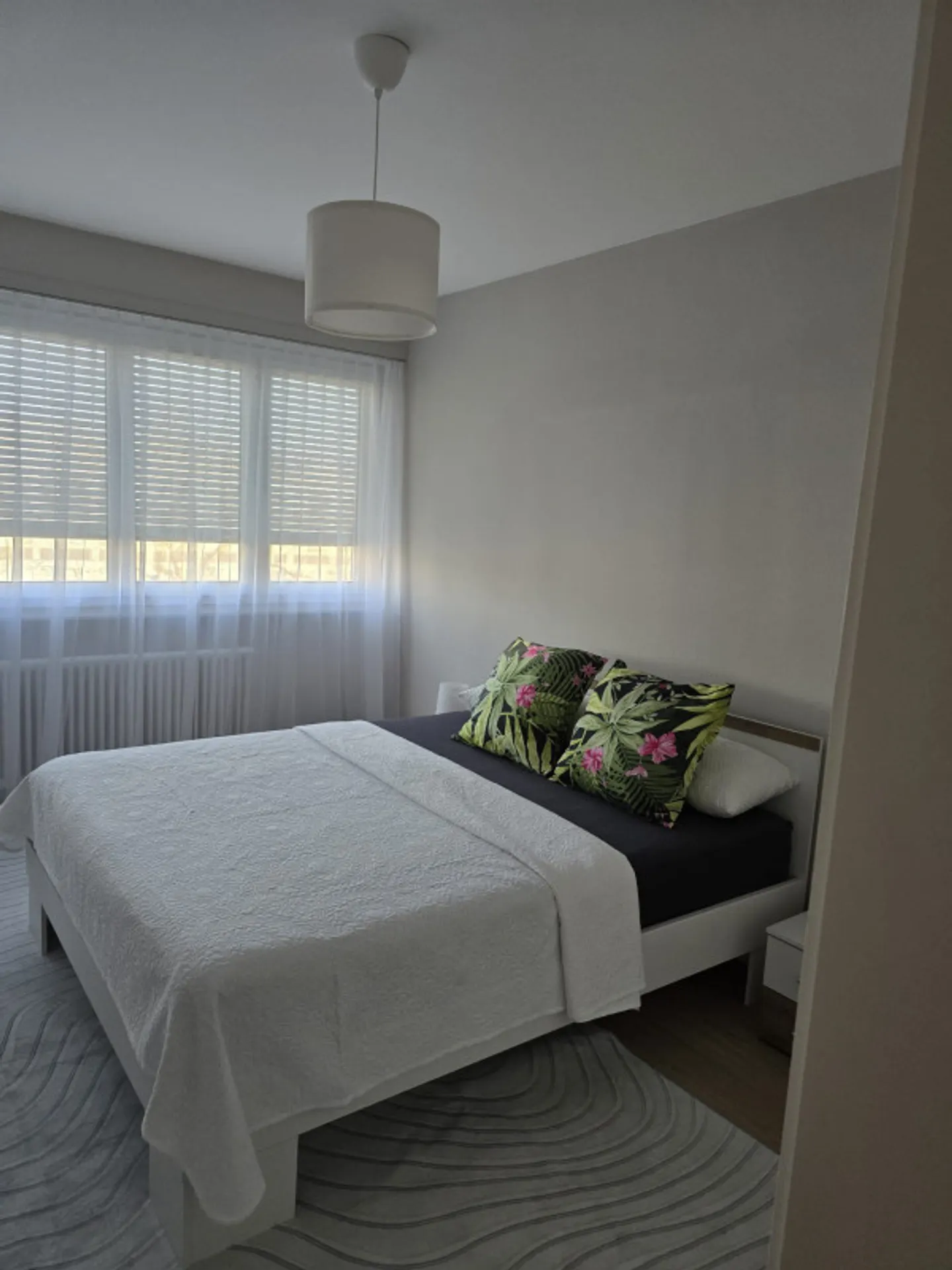 BEL APPARTAMENTO 4 LOCALI ARREDATO - MEYRIN - Foto 5 di 8