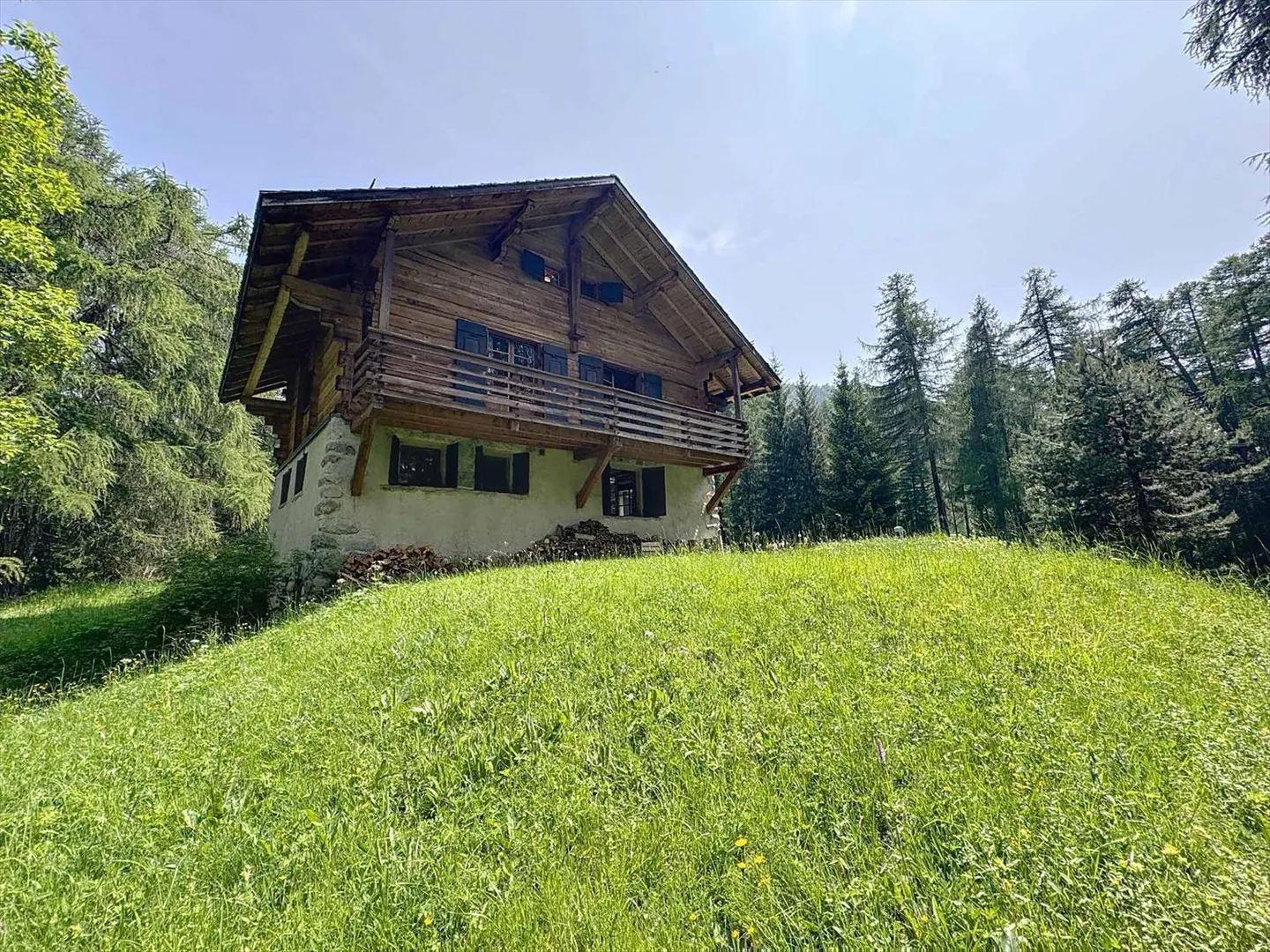 Chalet isolato con ampio terreno boschivo e annesso - Foto 12 di 13