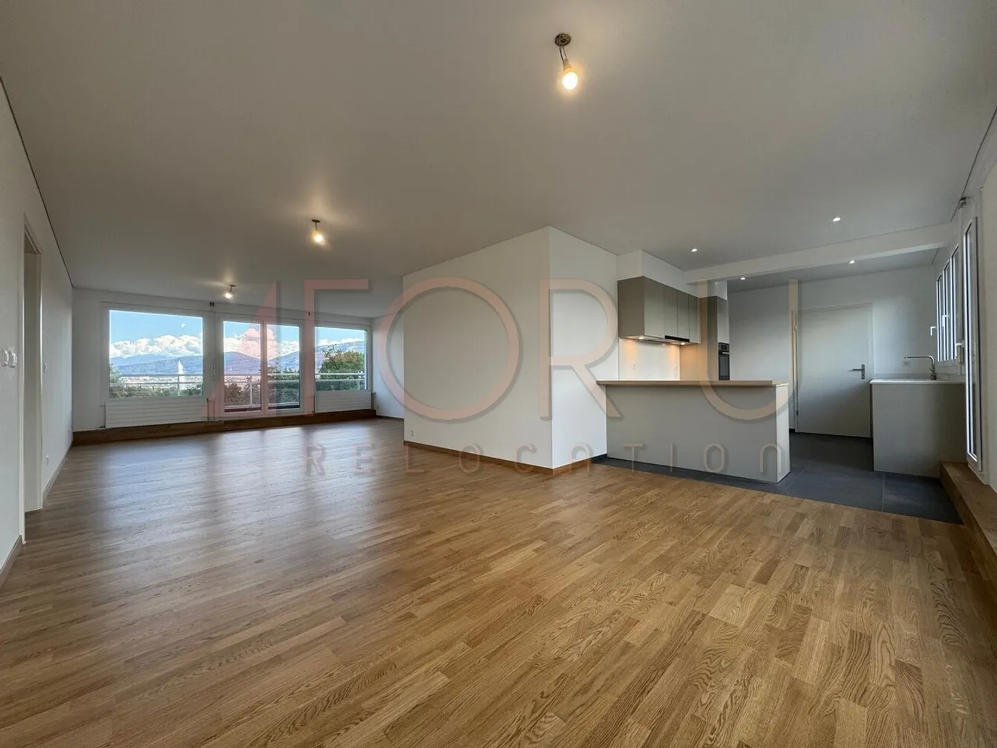 Magnifique penthouse en attique avec 6,5 pièces, neuf, avec 2 terrasses et vue près de l'ONU - Photo 4 sur 12