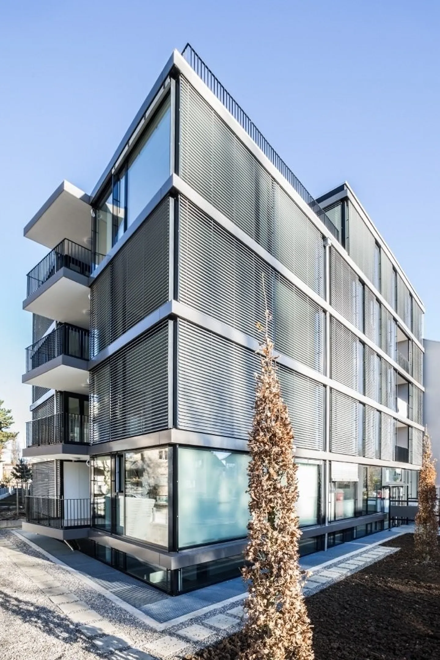 Large, bright apartment in Allschwil sought? - Photo 1 of 8