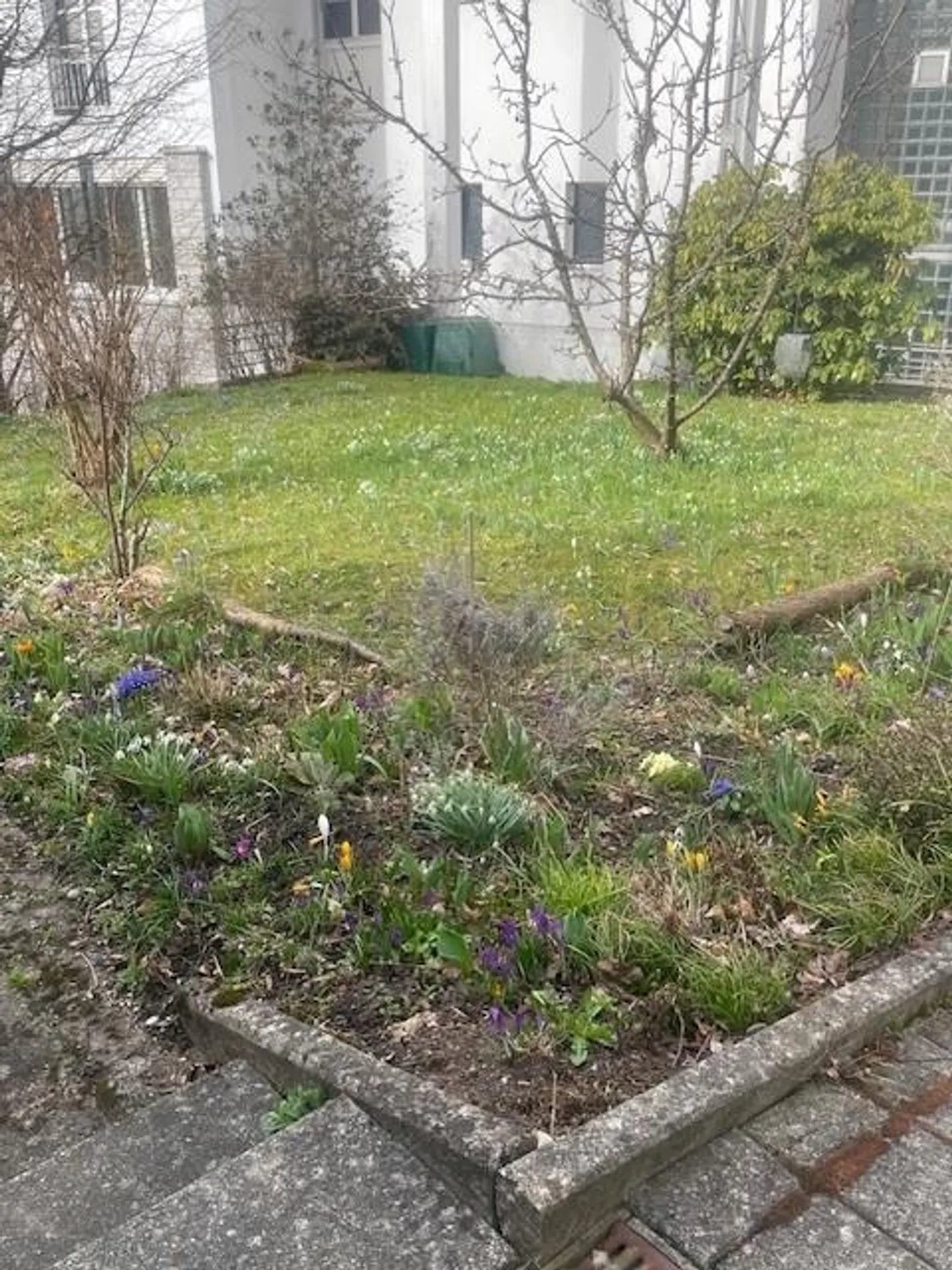 Charme Appenzeller - Première occupation après rénovation partielle - Photo 7 sur 8