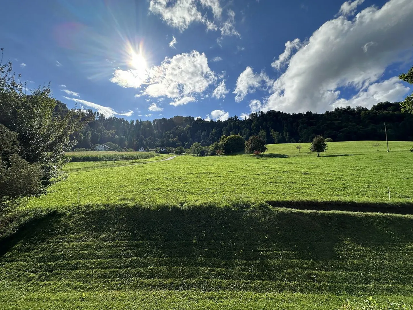 Appartamento 3.5 locali in una posizione verde e tranquilla a Zurigo - Foto 13 di 13
