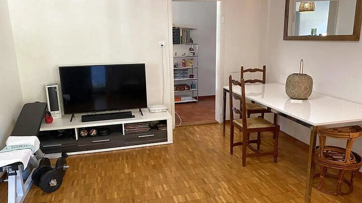 CONVIENT AUX AMOUREUX DES CHATS À ZURICH - DISTRICT 3 WIEDIKON, MEUBLÉ... - Photo 2 sur 8